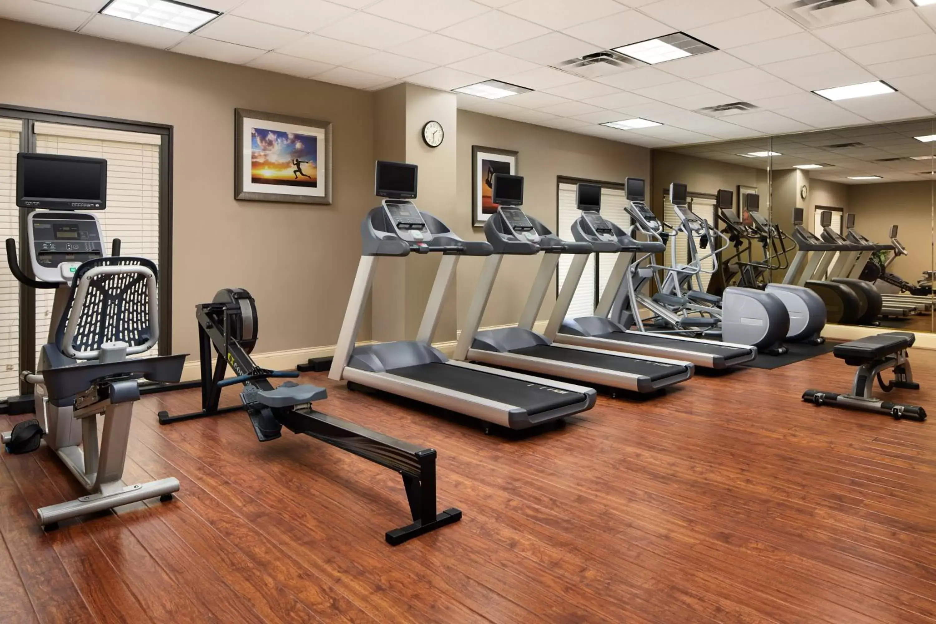 Fitness centre/facilities, Fitness Center/Facilities in Holiday Inn Express & Suites Alpharetta, an IHG Hotel