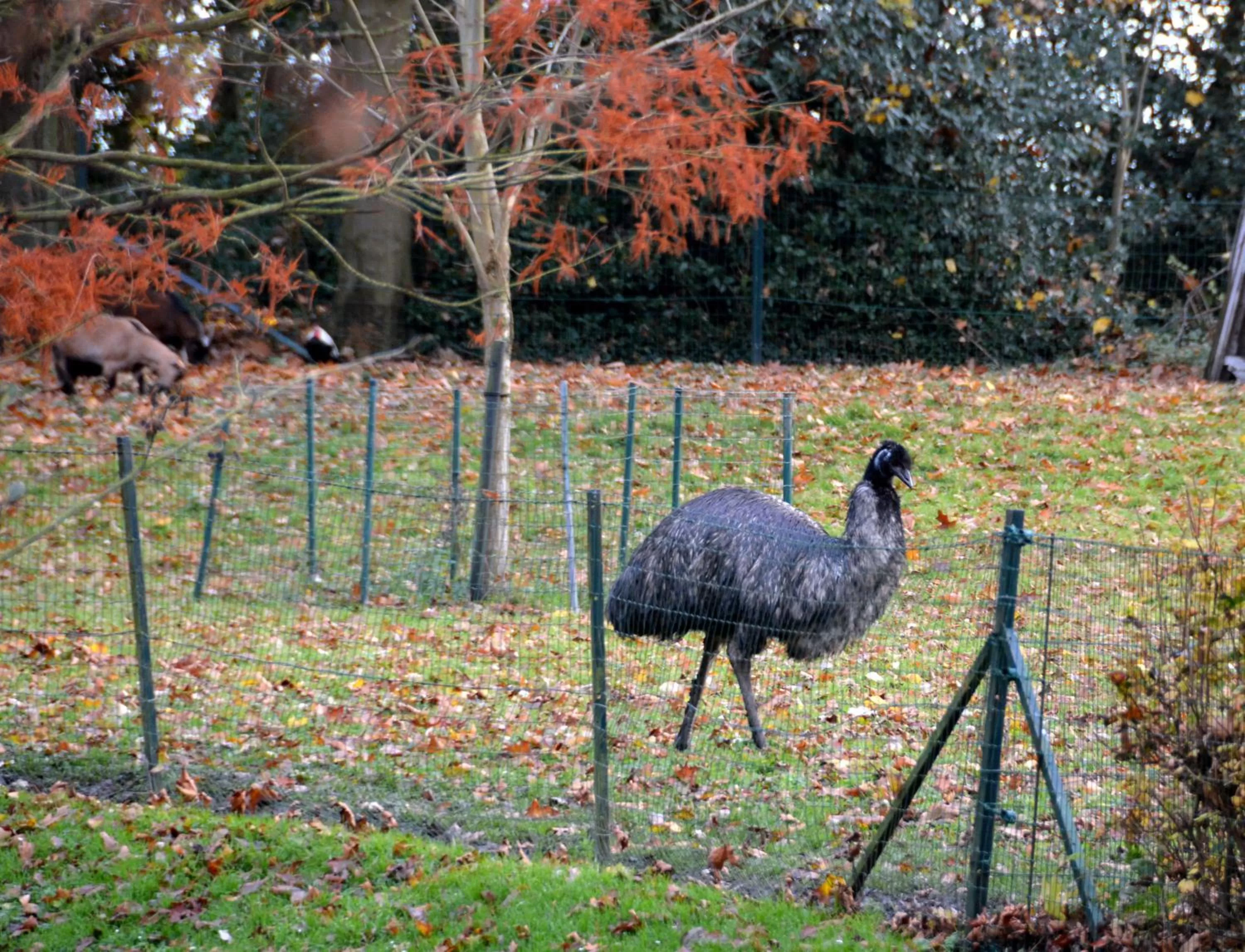 Natural landscape in Haras des Chartreux