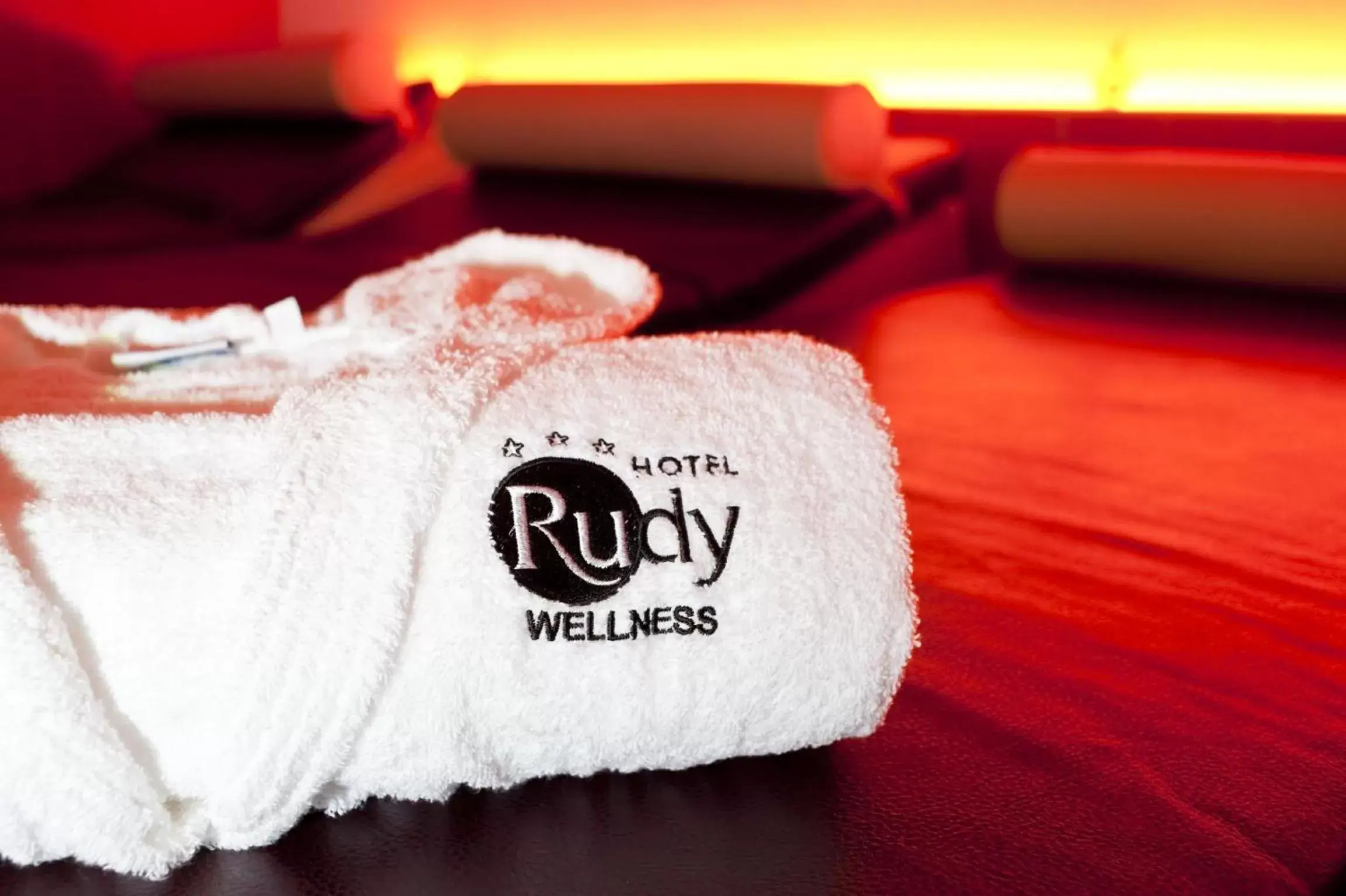 Sauna in Hotel Rudy