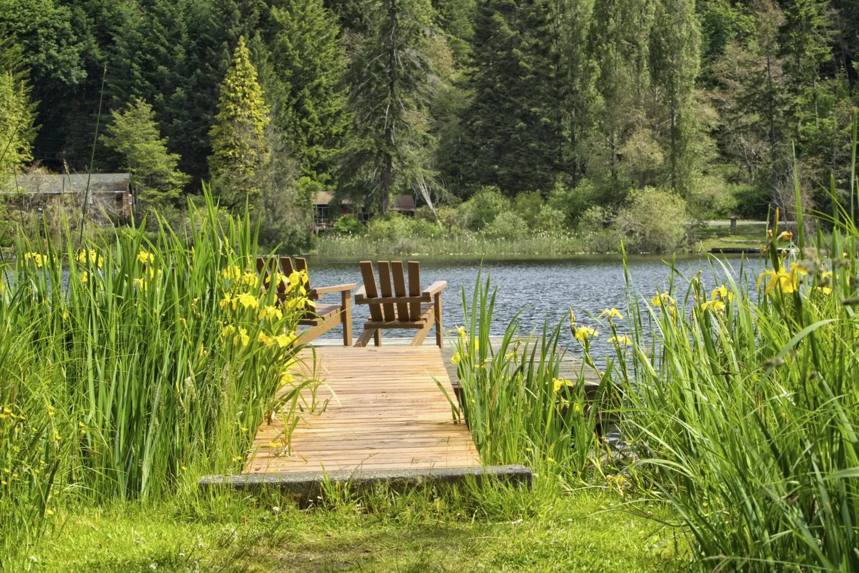 Lake view, Garden in Cusheon Lake Resort
