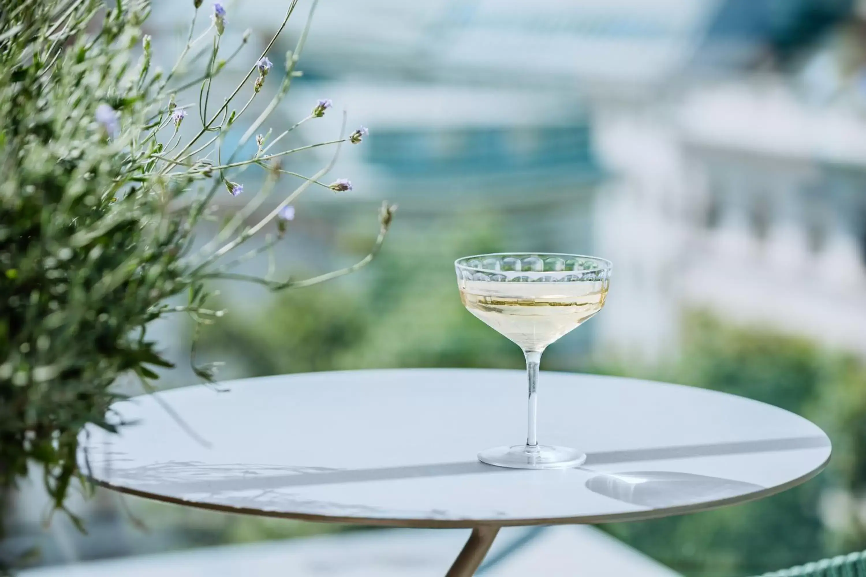 Food and drinks in Grand Ferdinand Vienna – Your Hotel In The City Center Food and drinks in Grand Ferdinand Vienna – Your Hotel In The City Center