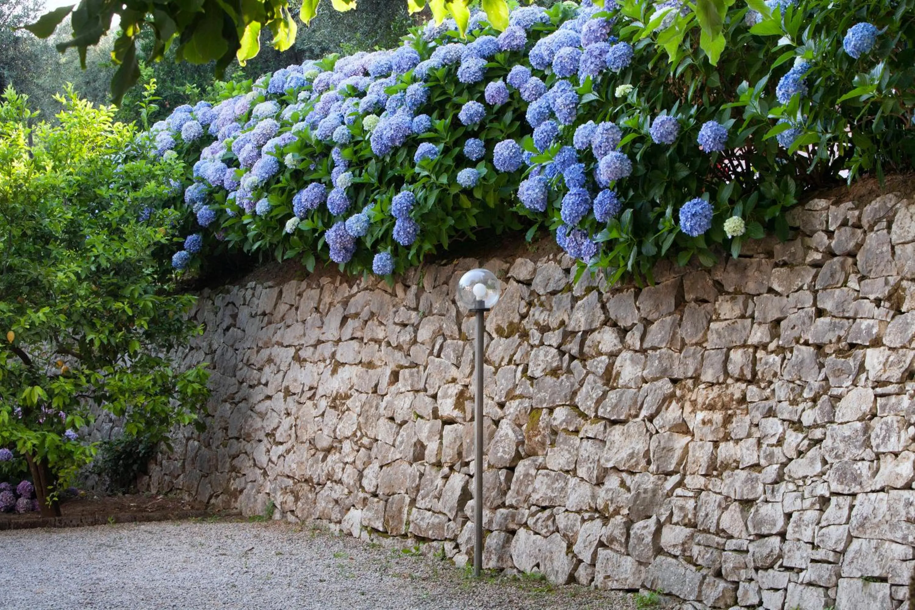 Parking in Villa Oriana Relais