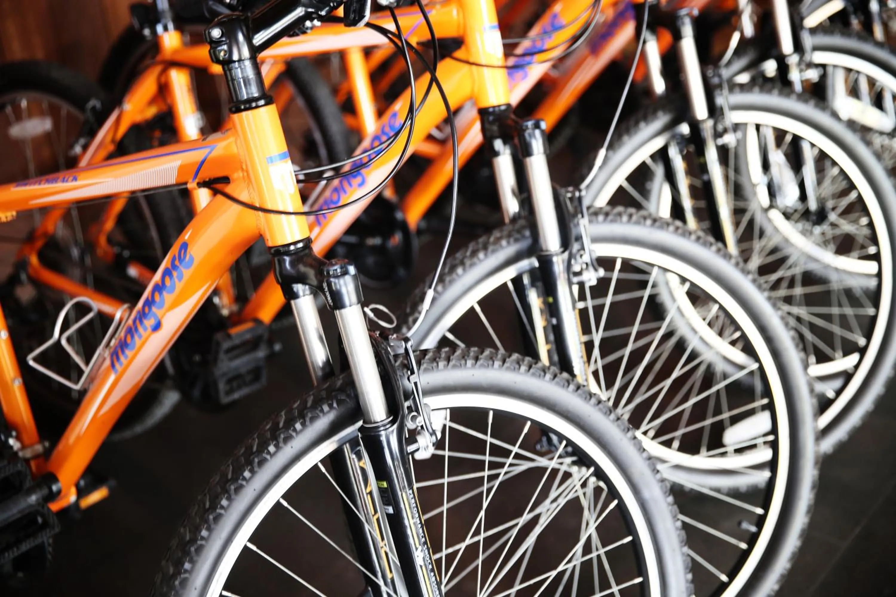 Activities in Anumana Ubud Hotel