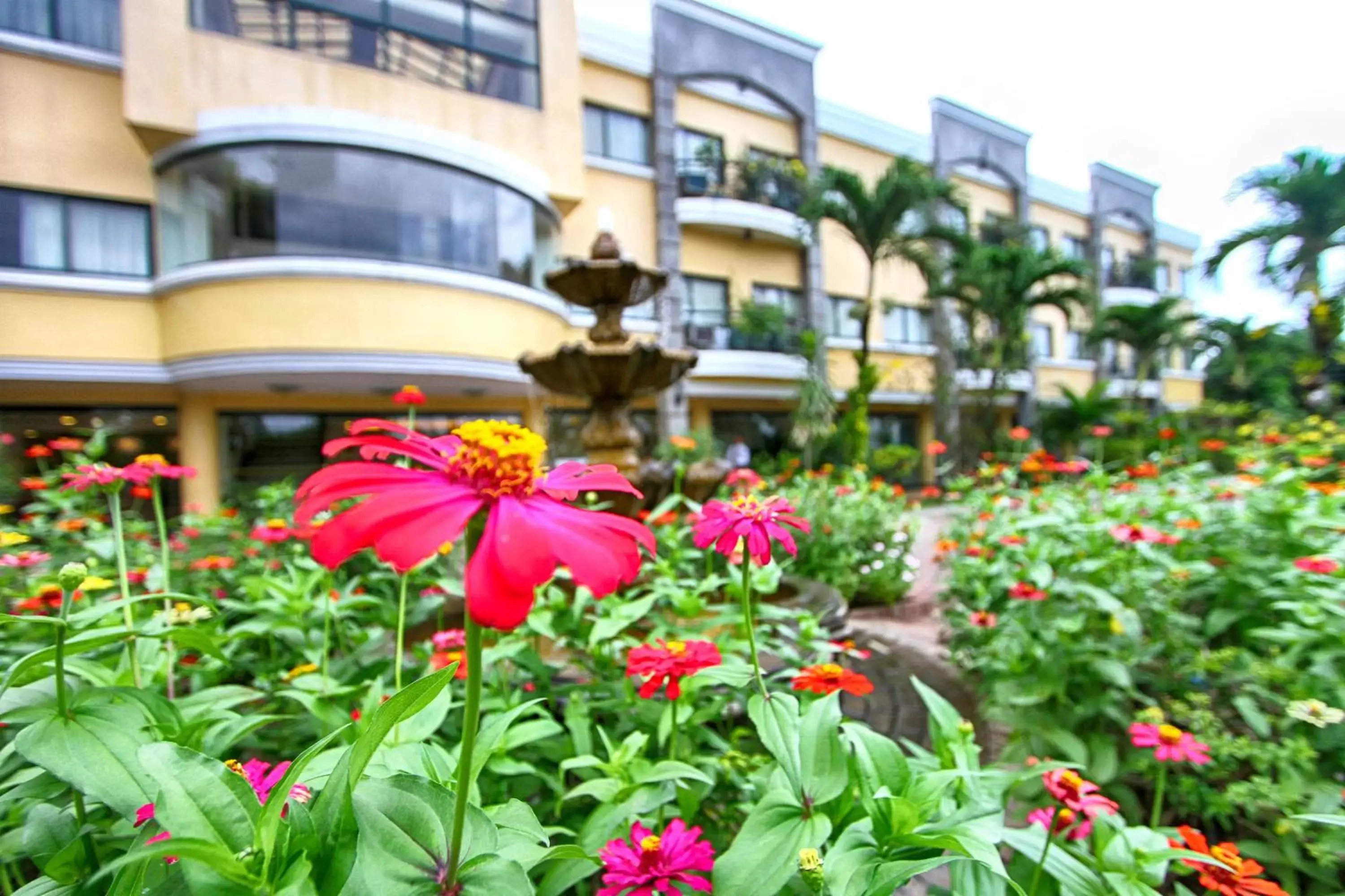 Property Building in Hotel Fleuris