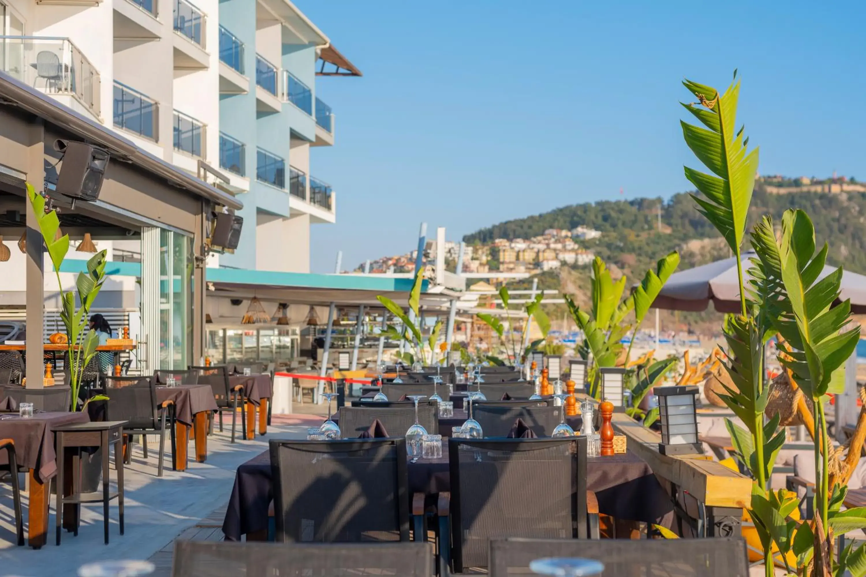 Restaurant/Places to Eat in Royalisa Palmiye Beach Hotel Adult Only