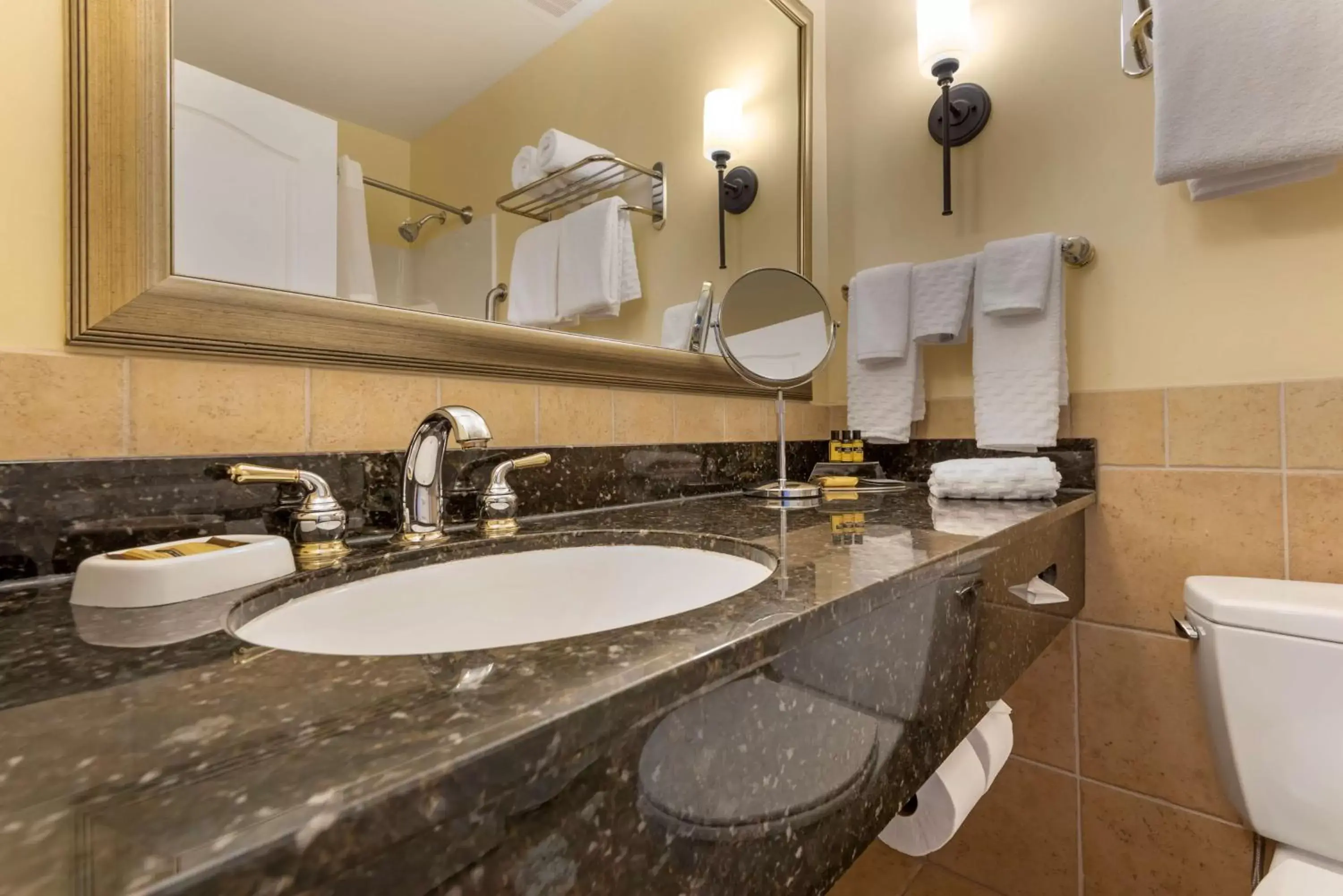 Bathroom in Best Western PLUS Vineyard Inn and Suites