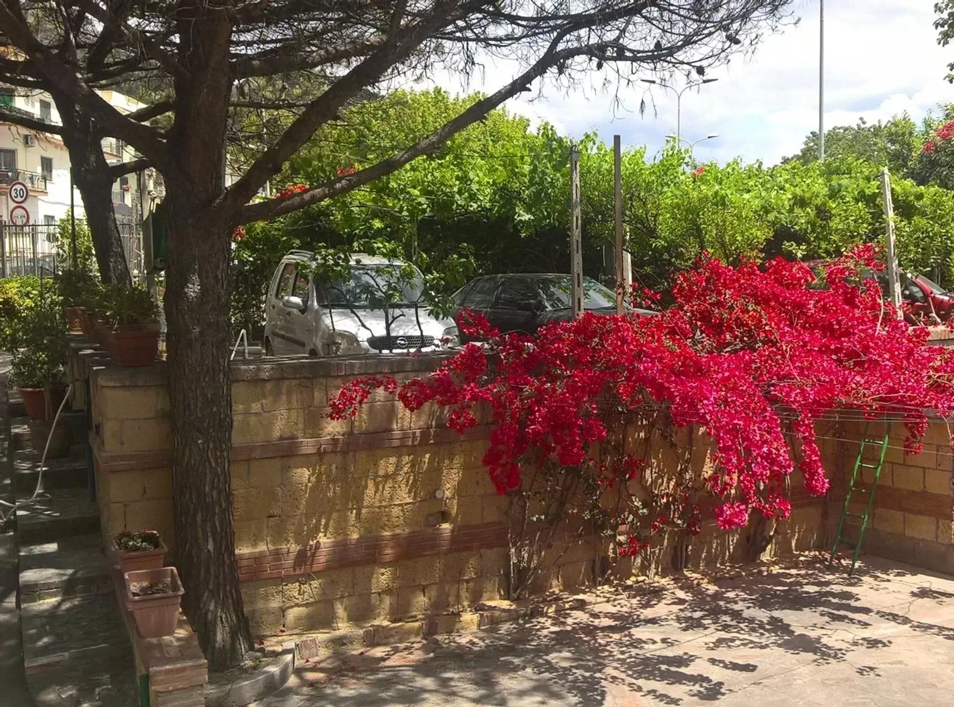 Garden in Hotel Sibilla Residence