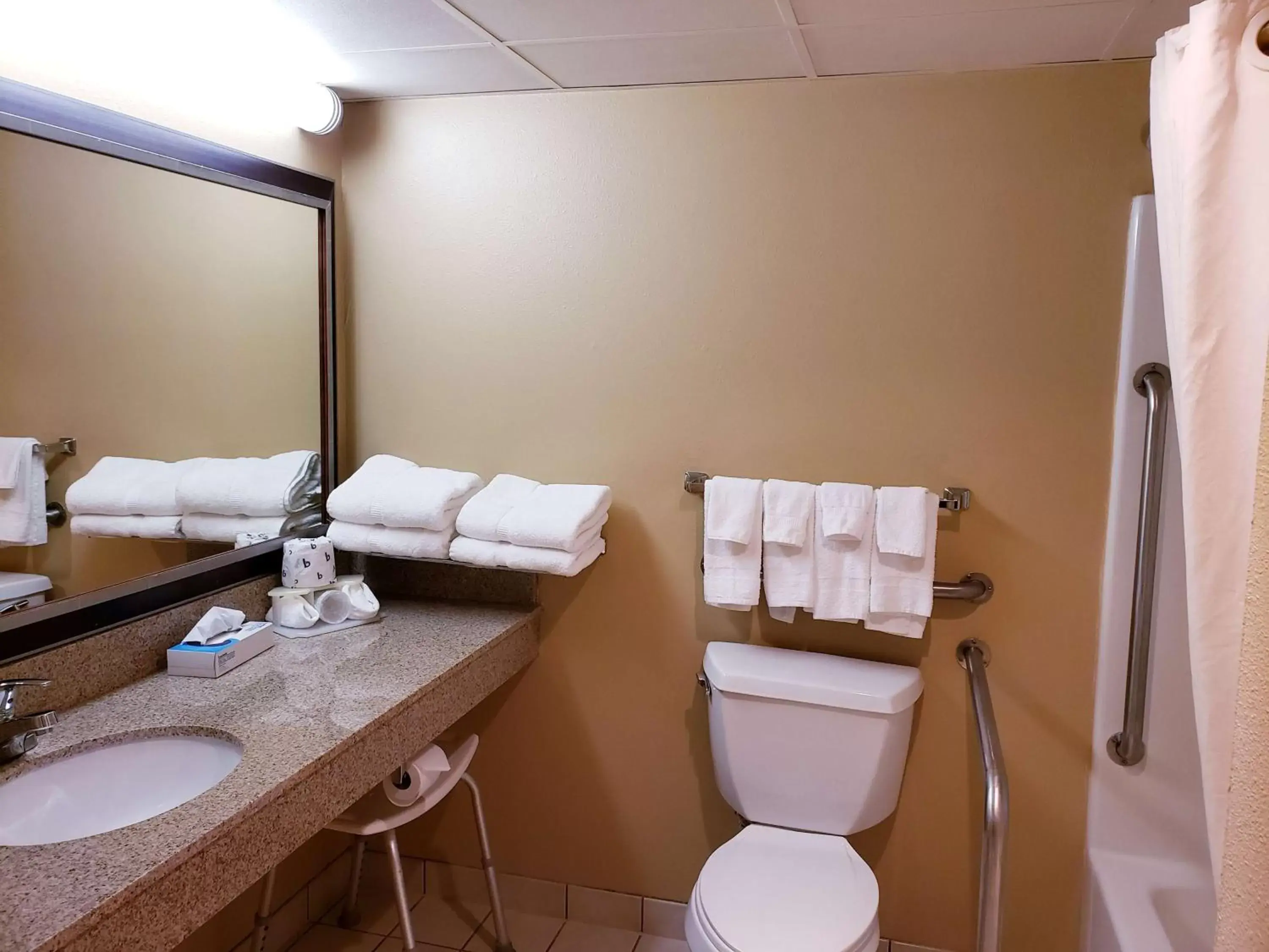 Bathroom in SureStay Plus Hotel by Best Western Black River Falls