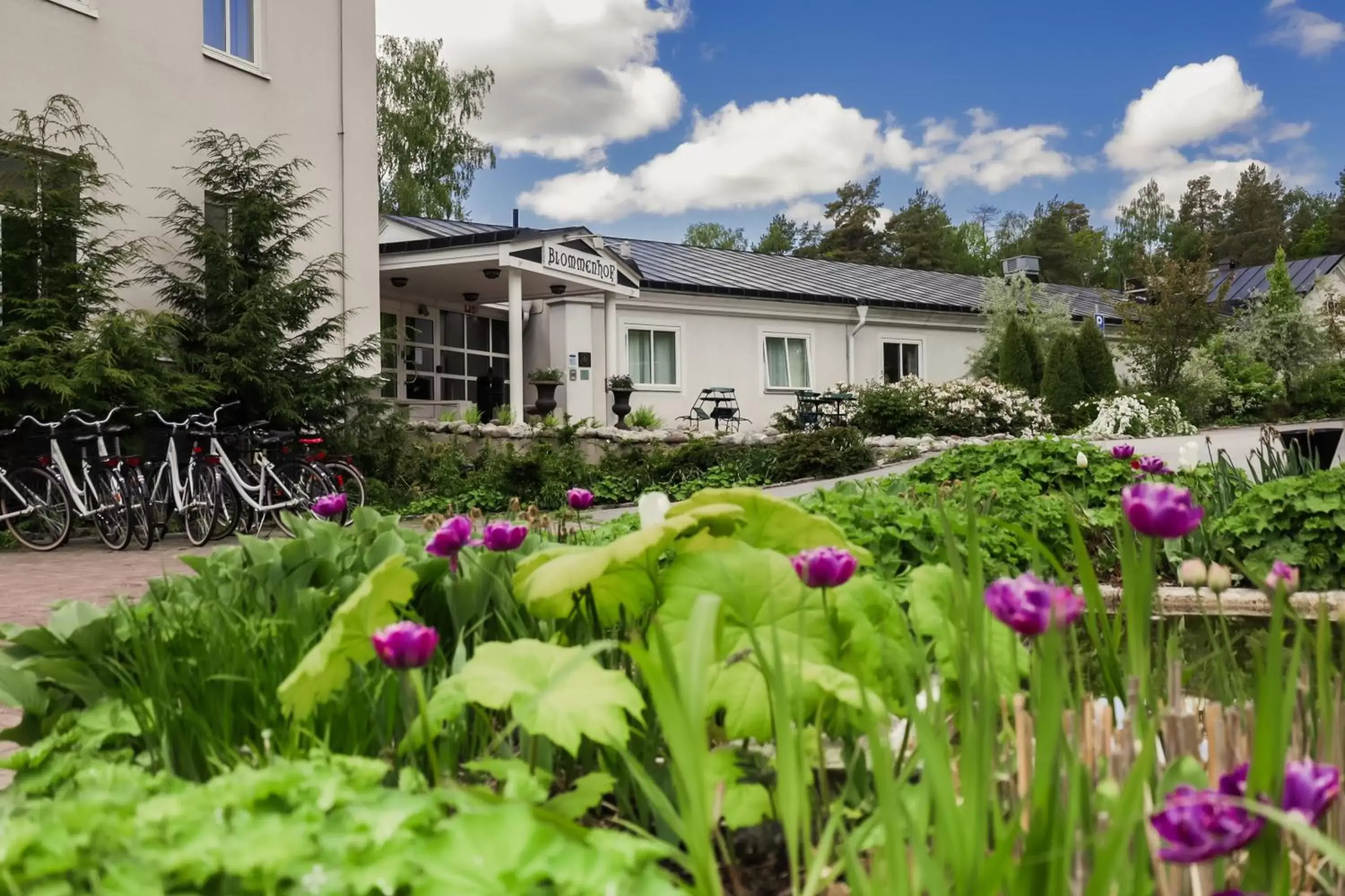 Facade/entrance, Property Building in Blommenhof Hotel