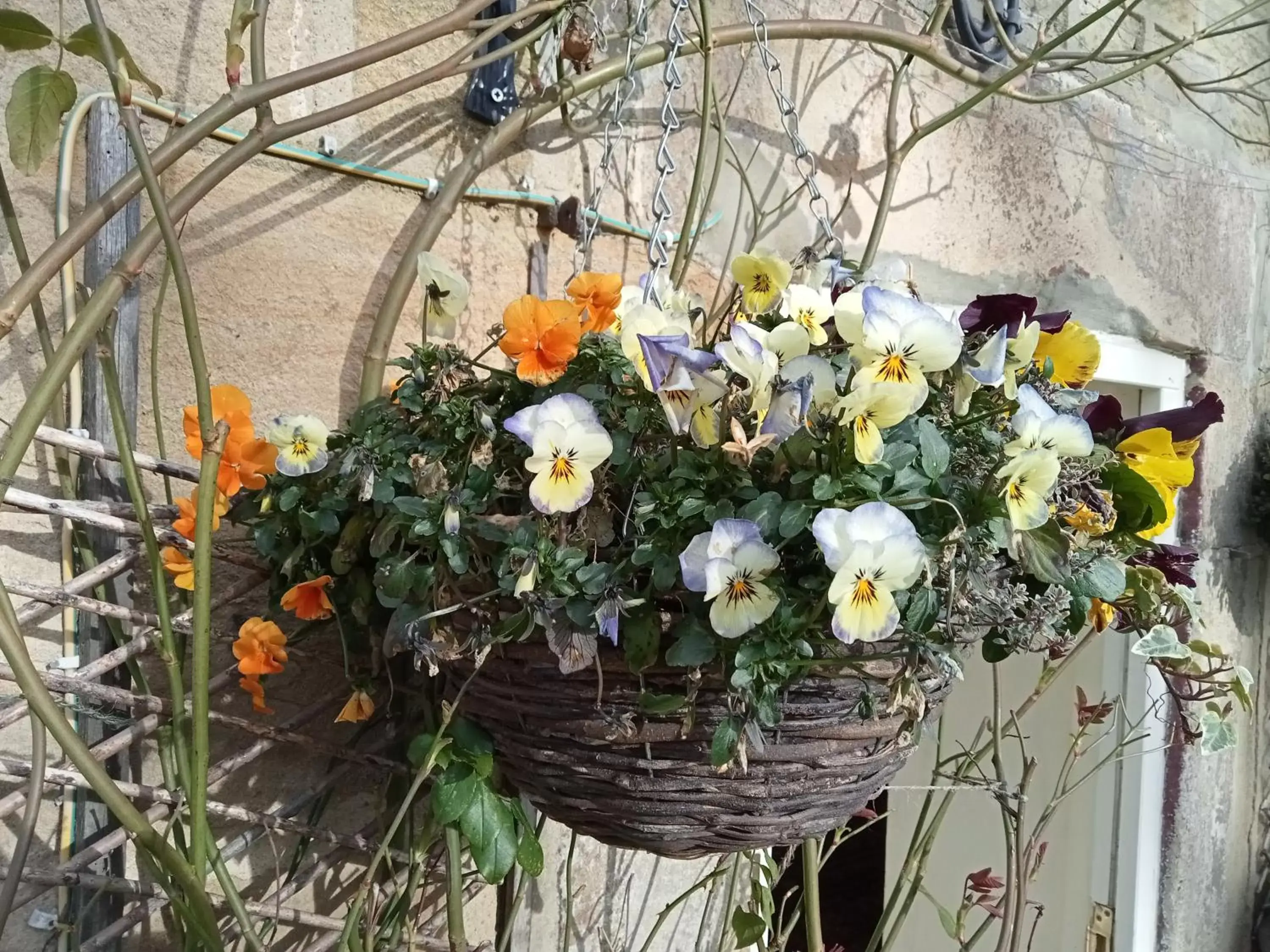 Patio in Orchard Cottage