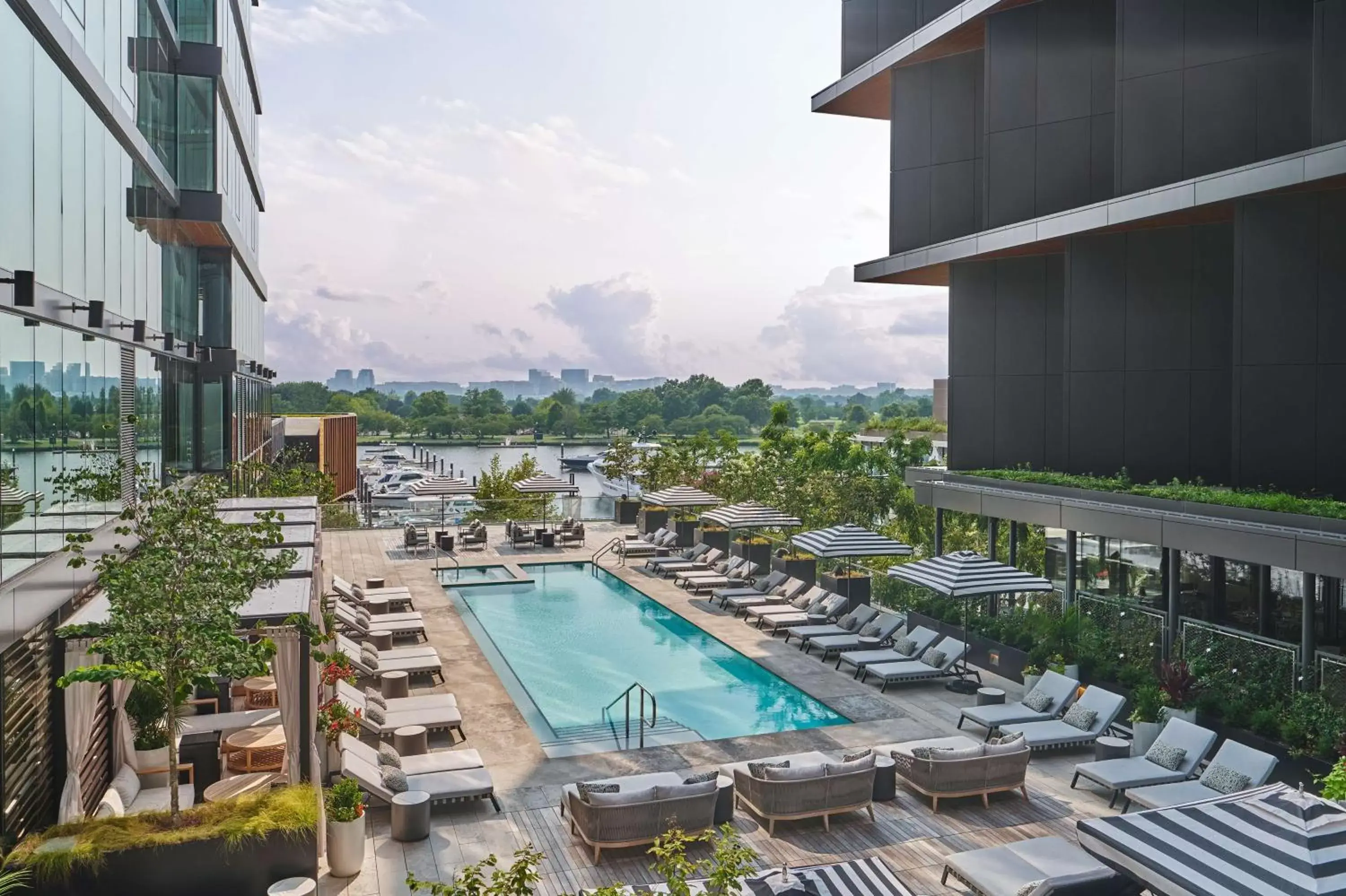 Pool View in Pendry Washington DC - The Wharf