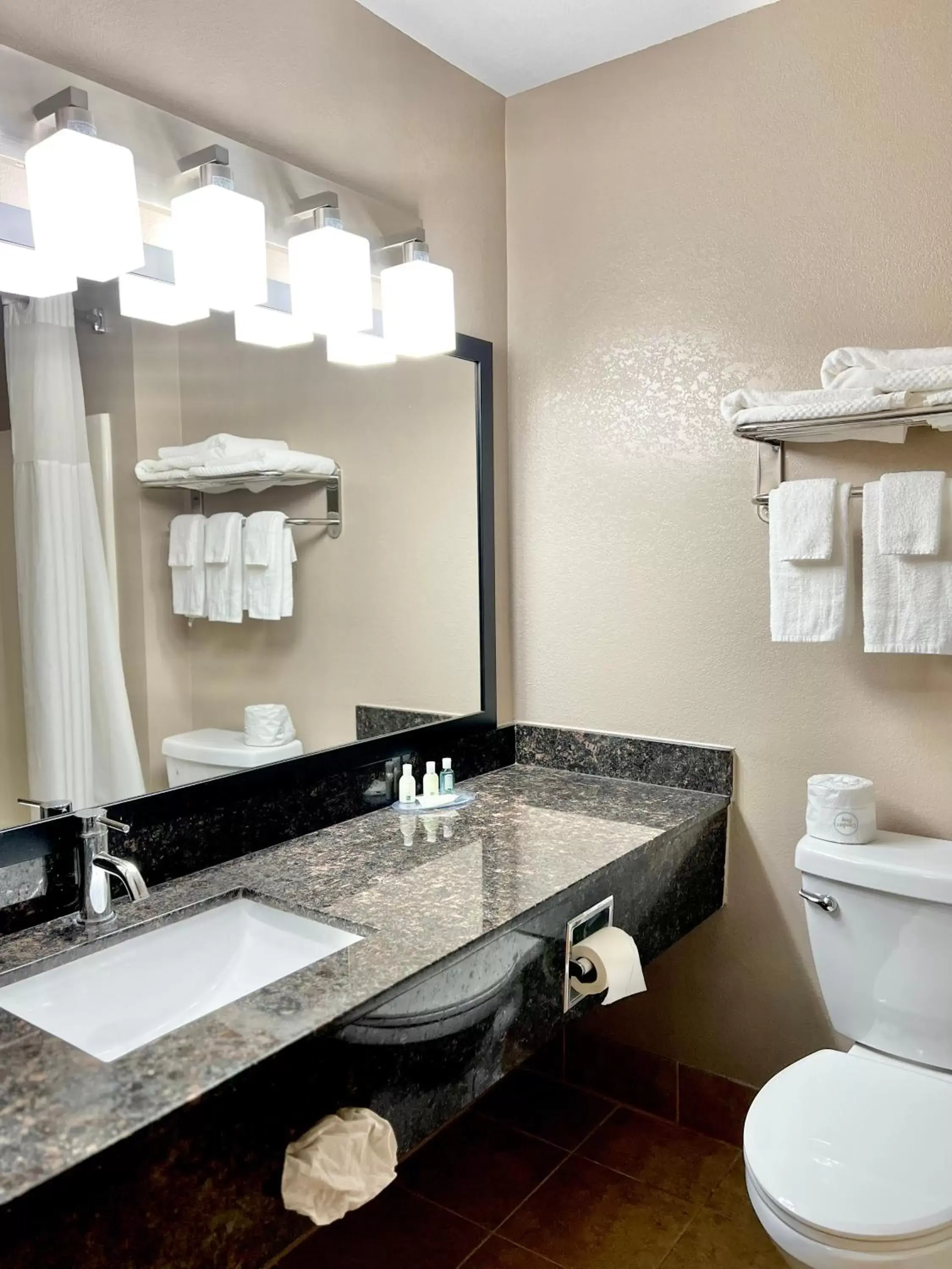 Shower, Bathroom in Quality Inn & Suites