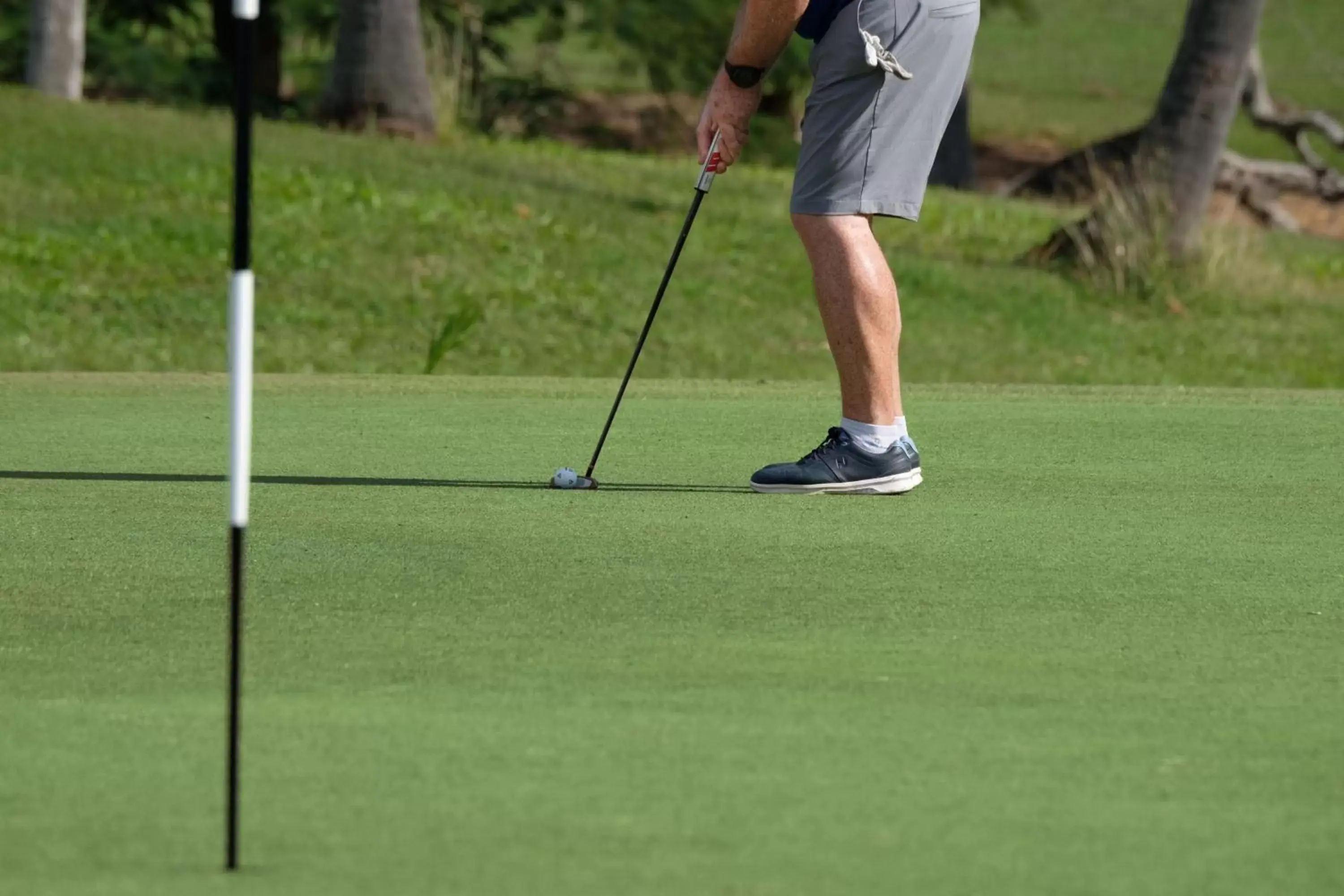 Golfcourse, Golf in Sheraton Fiji Golf & Beach Resort