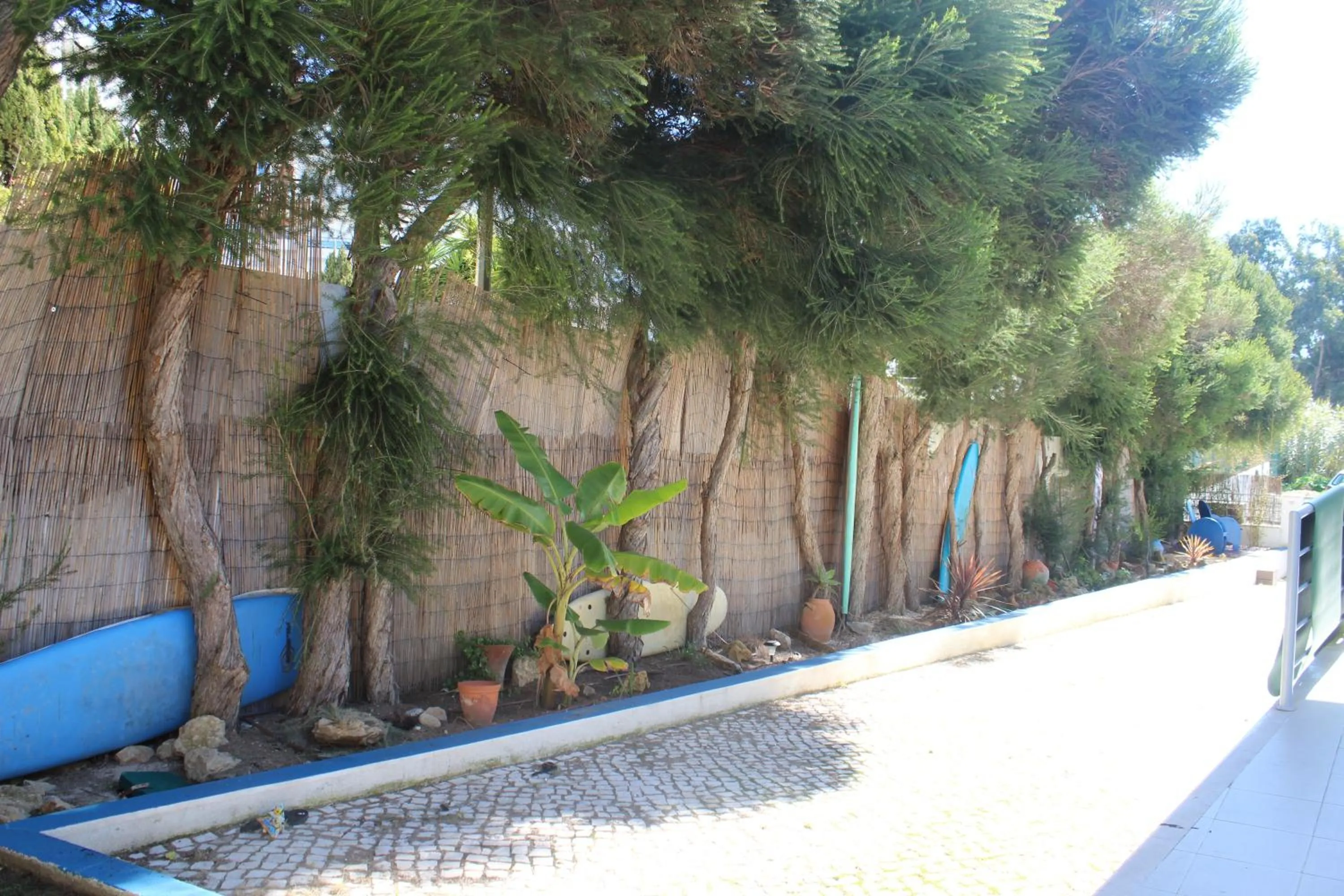 Garden in Ericeira Chill Hill Hostel & Private Rooms