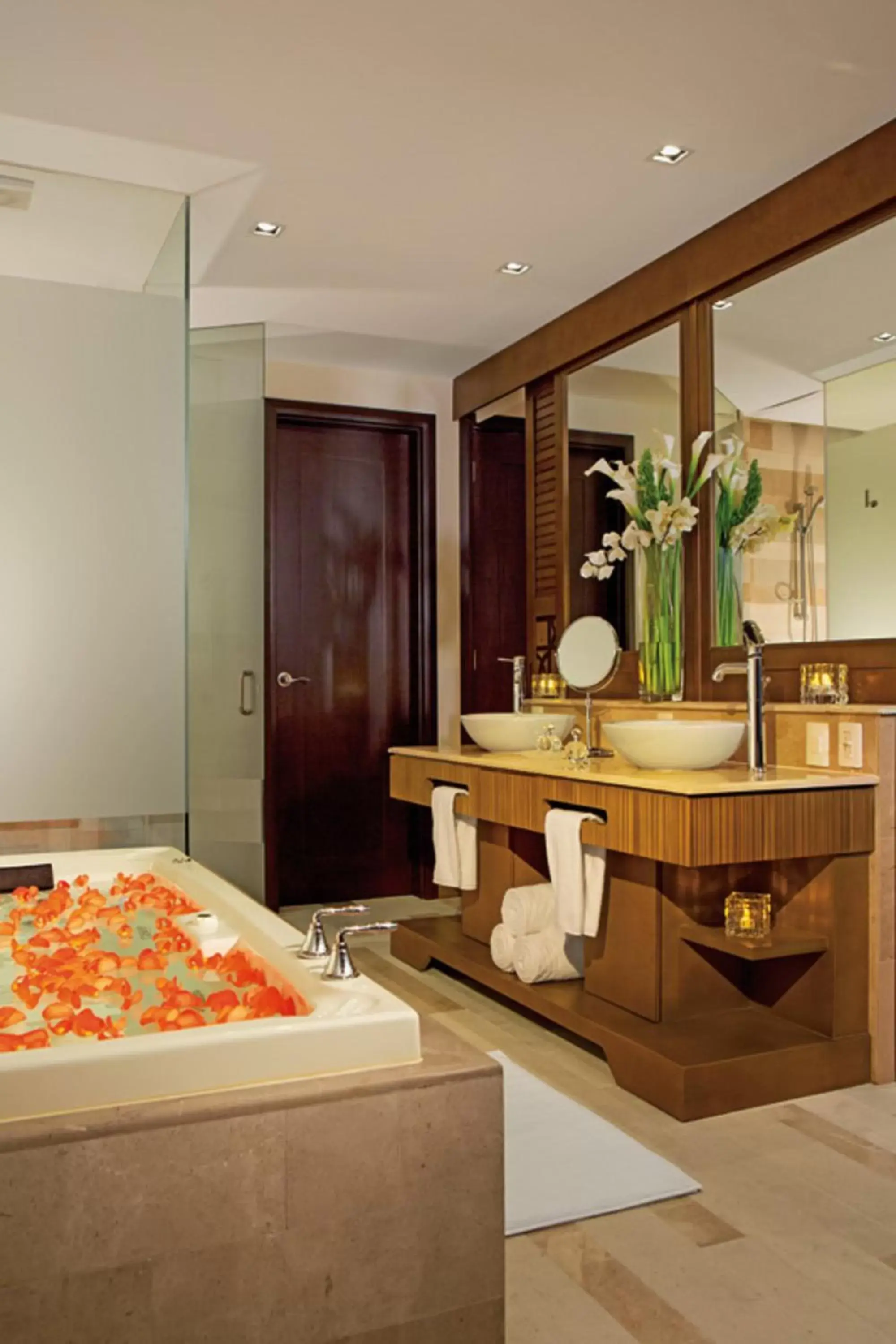 Hot Tub, Bathroom in Dreams Vallarta Bay Resorts & Spa - All Inclusive