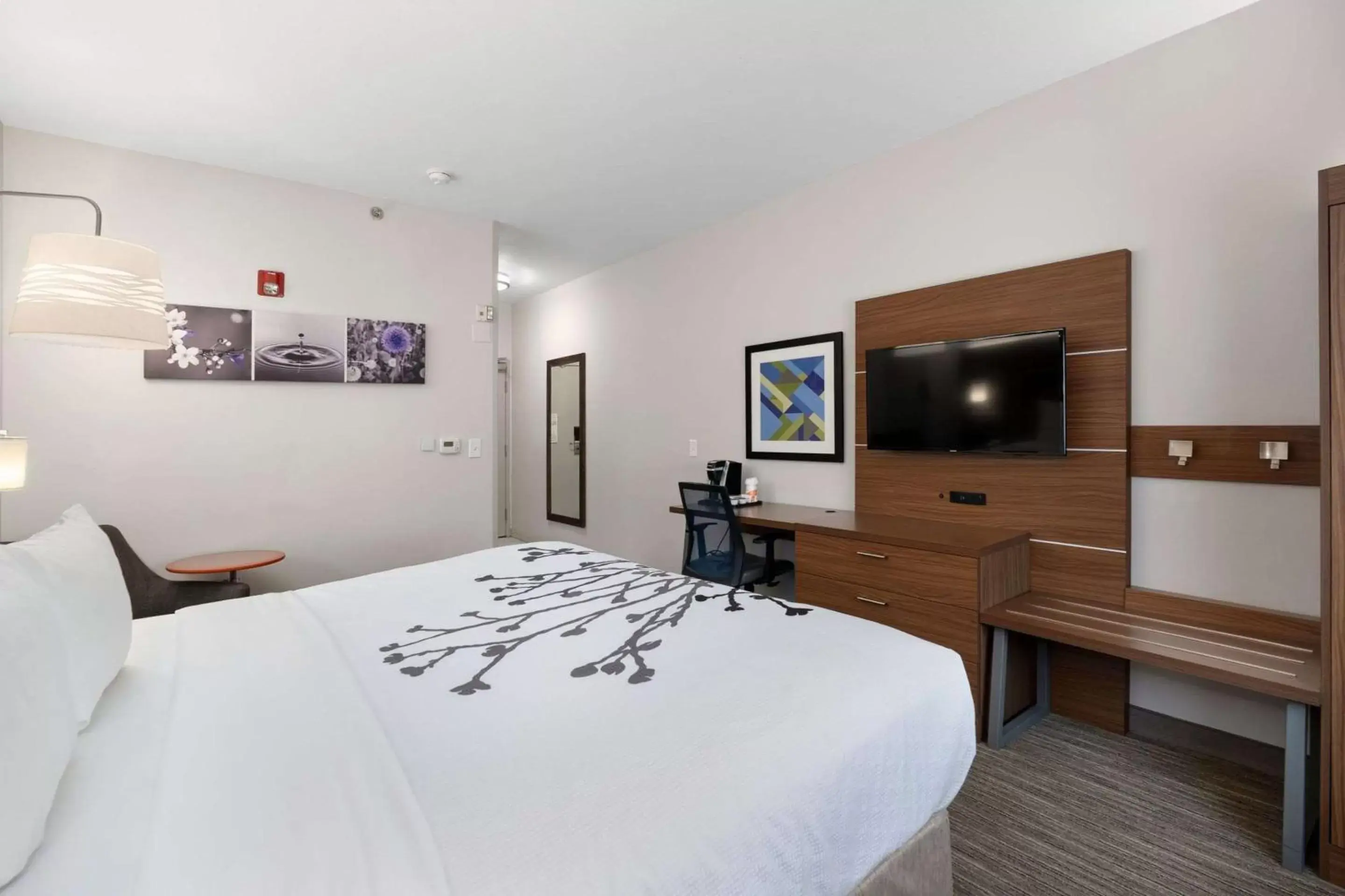 King Suite - Non-Smoking in Sleep Inn & Suites Tempe ASU Campus King Suite - Non-Smoking in Sleep Inn & Suites Tempe ASU Campus