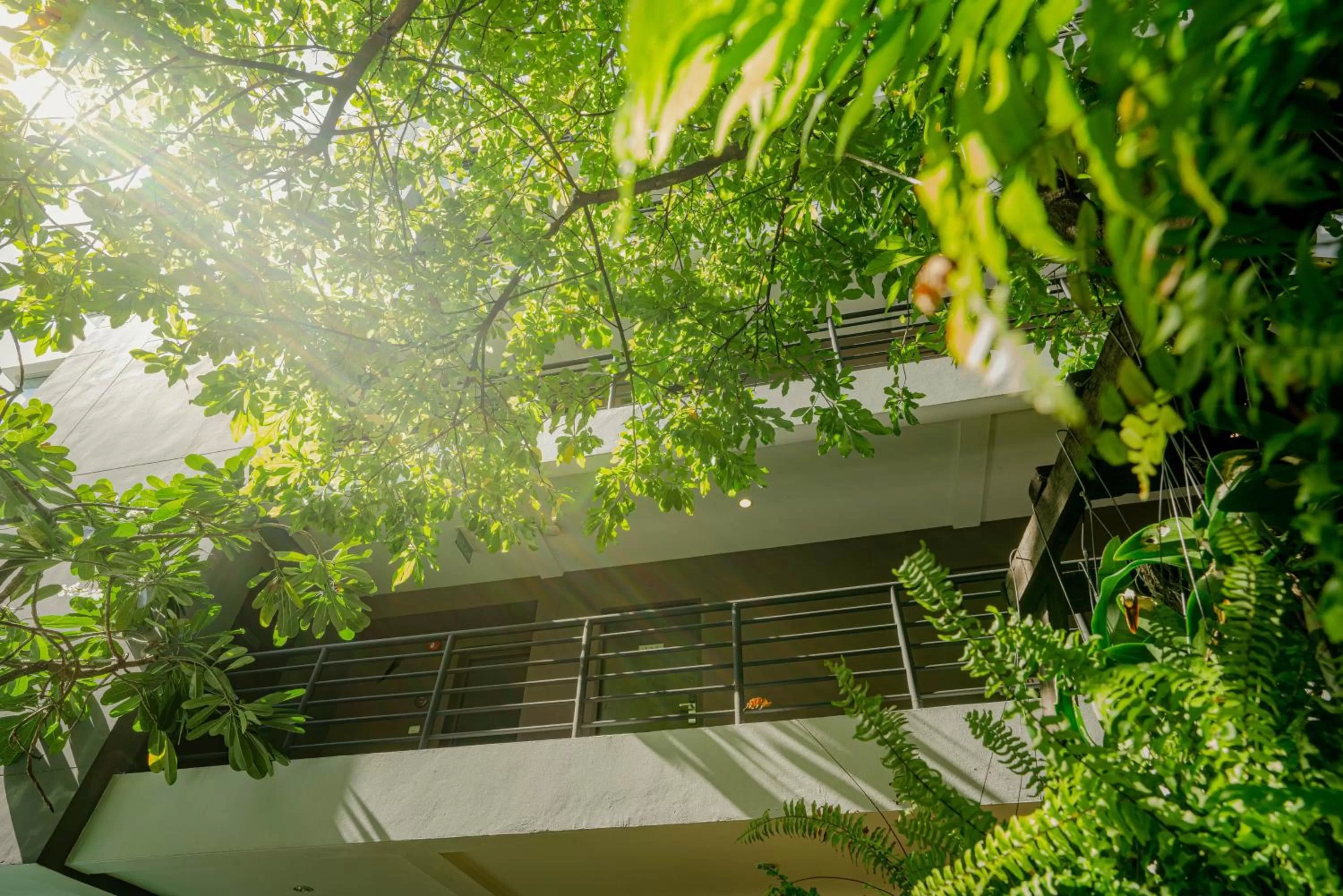 Balcony/Terrace in Peace Land Khaosan