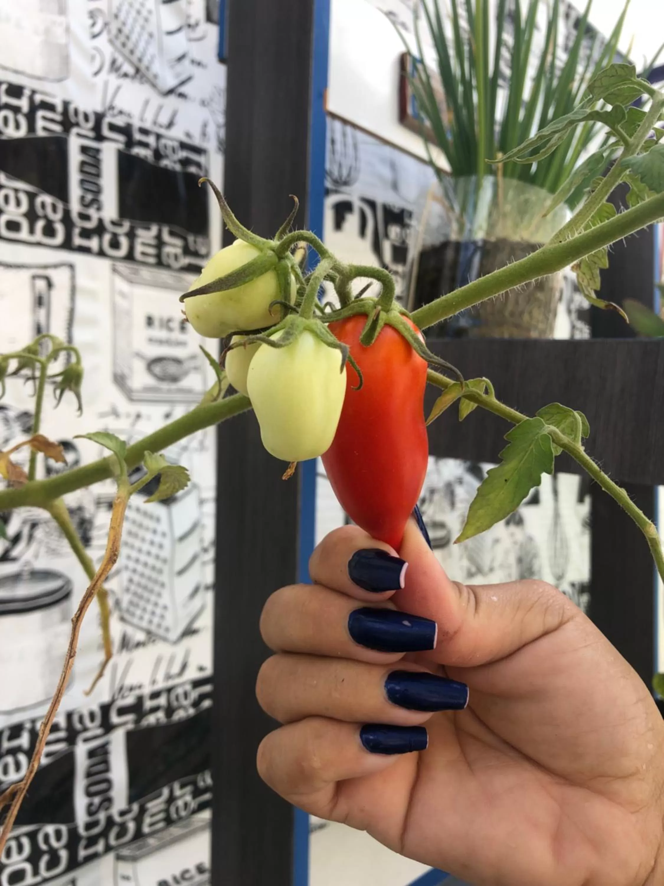 Property building in Hostel Das Canárias