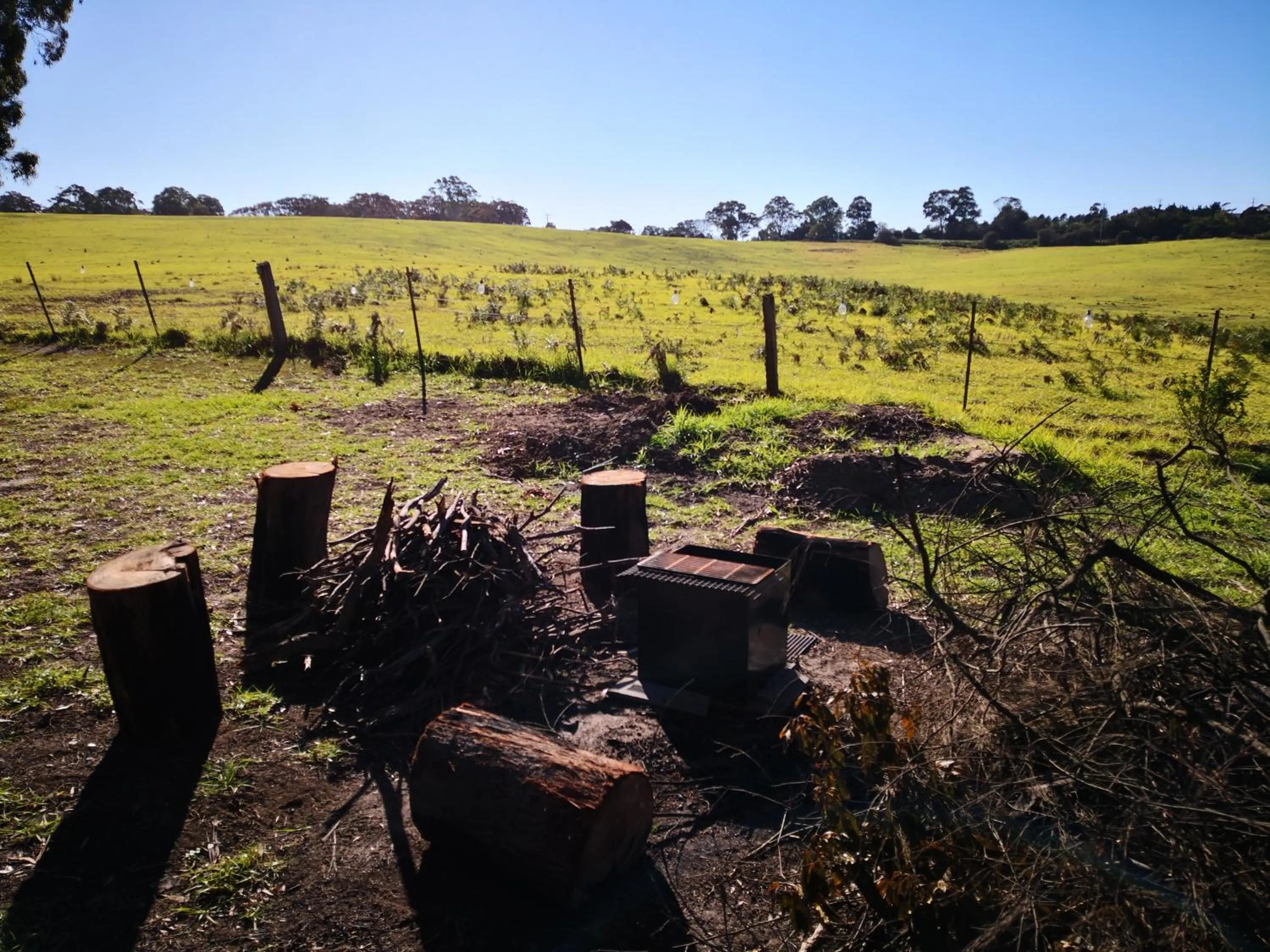 Natural landscape in Kalimna Woods Cottages