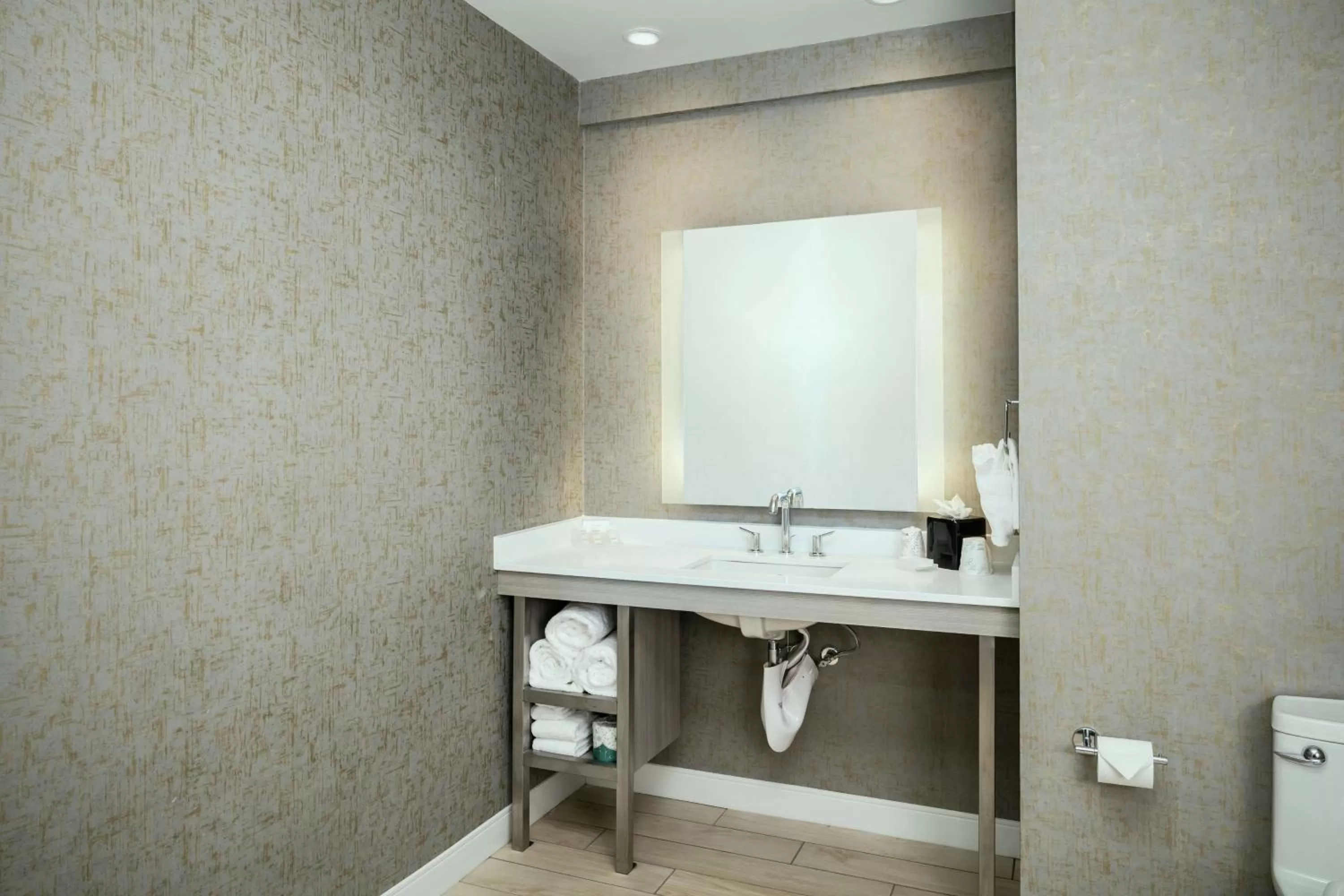 Bathroom in Hilton Garden Inn Seattle Bellevue Downtown, WA