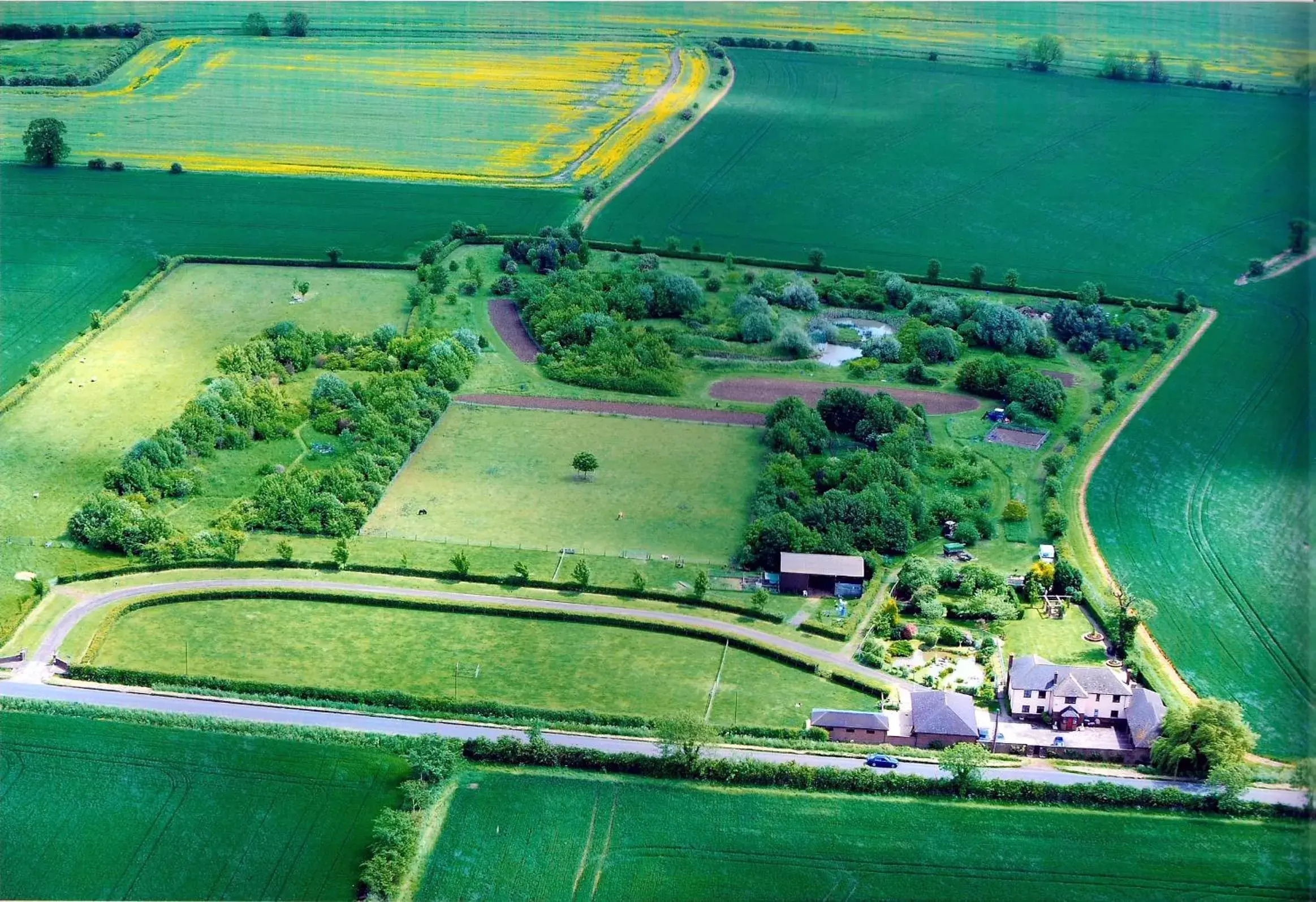 Bird's eye view, Bird's-eye View in Pointers Guest House