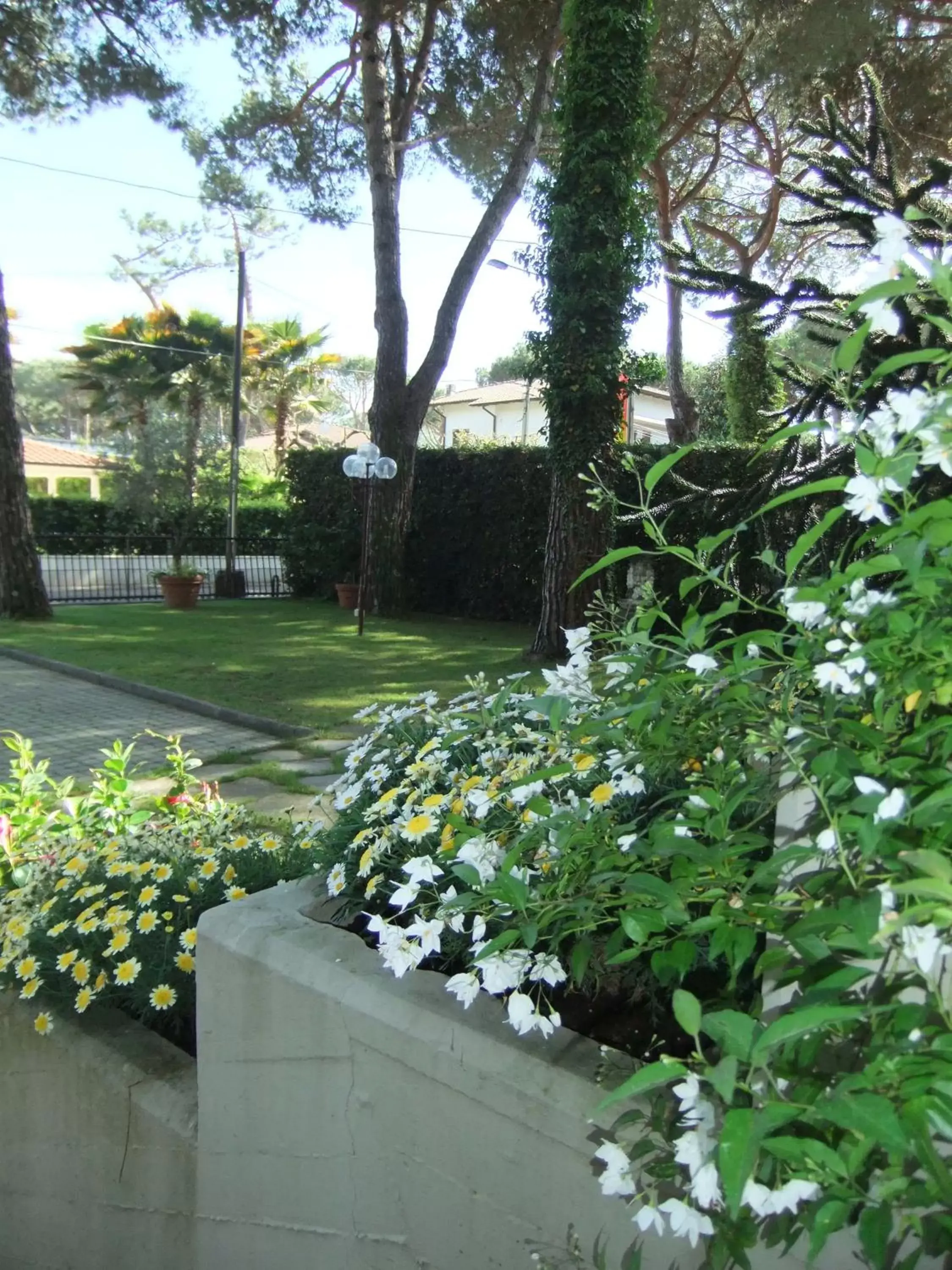 Spring in Hotel Giulio Cesare