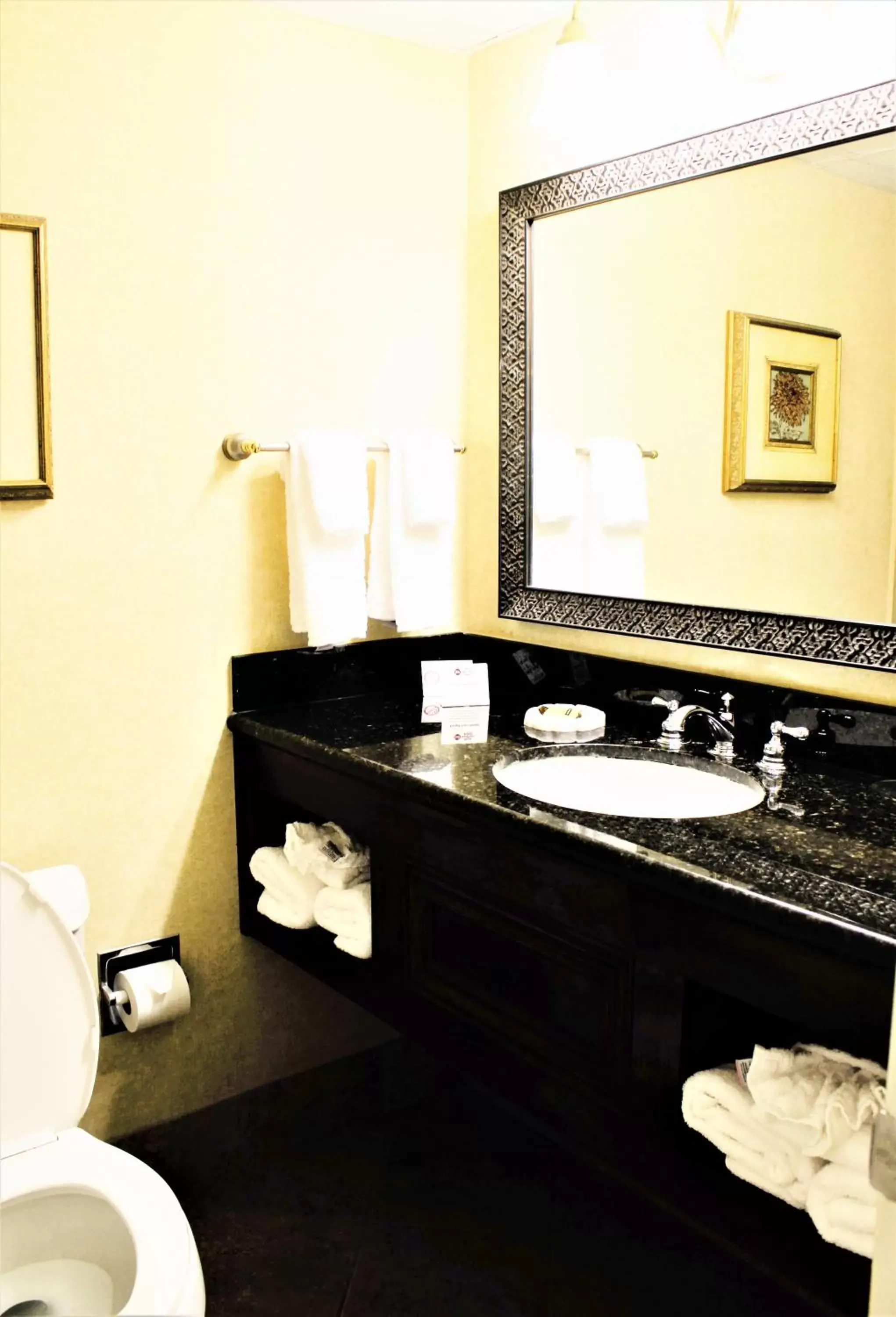 Shower, Bathroom in Best Western Plus Burlington