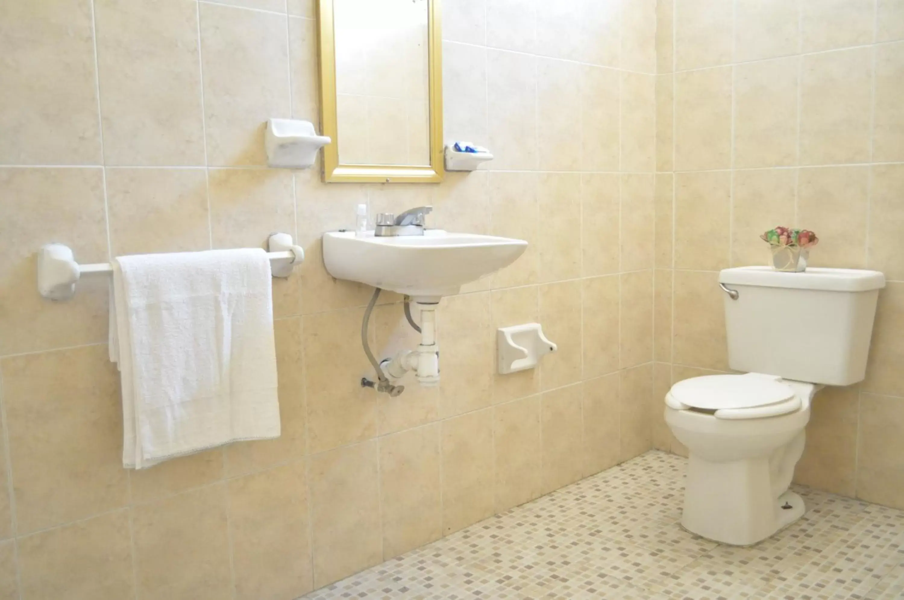 Shower, Bathroom in Hotel San Carlos