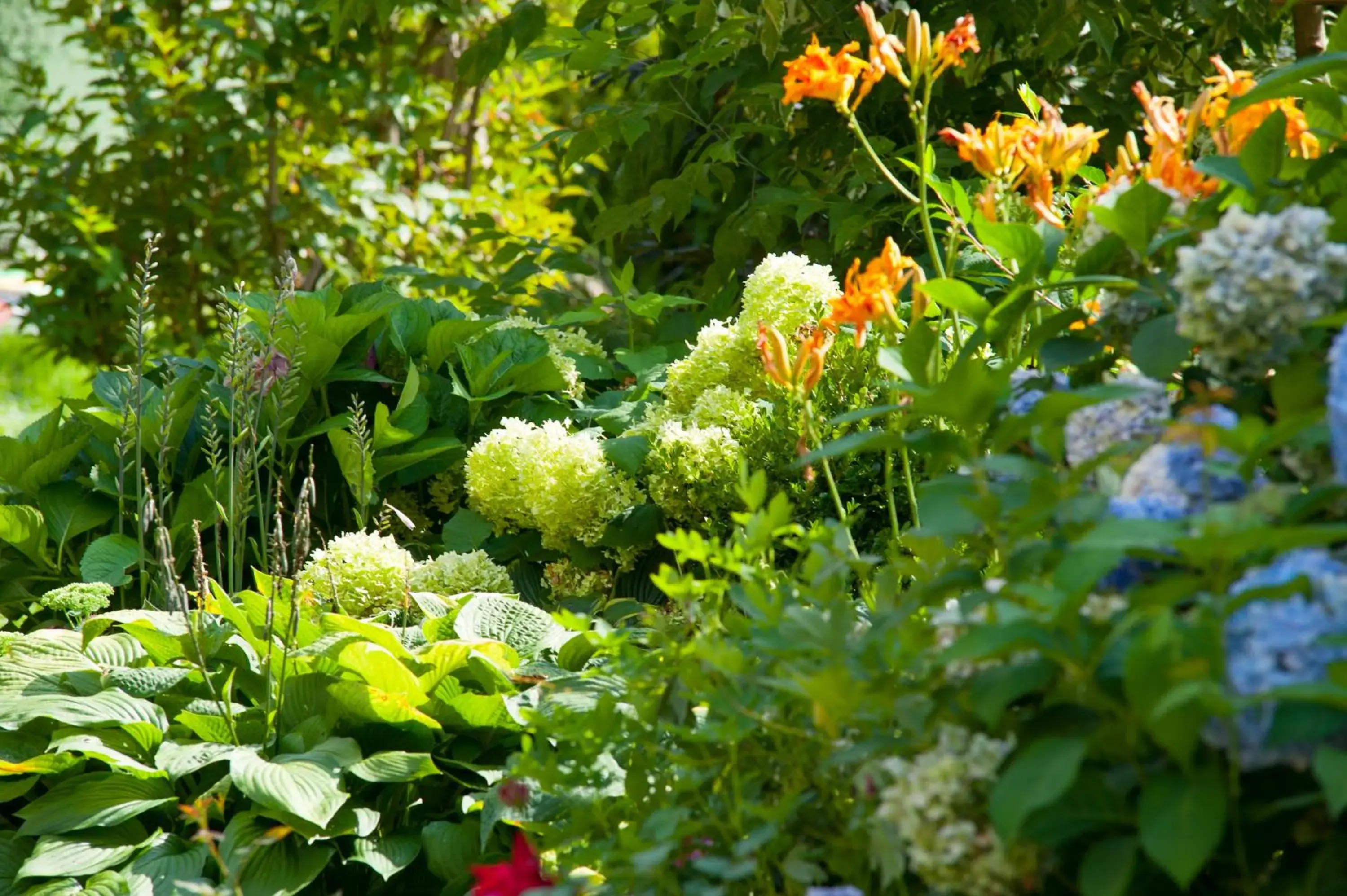 Garden in Hotel Garni Glockenstuhl