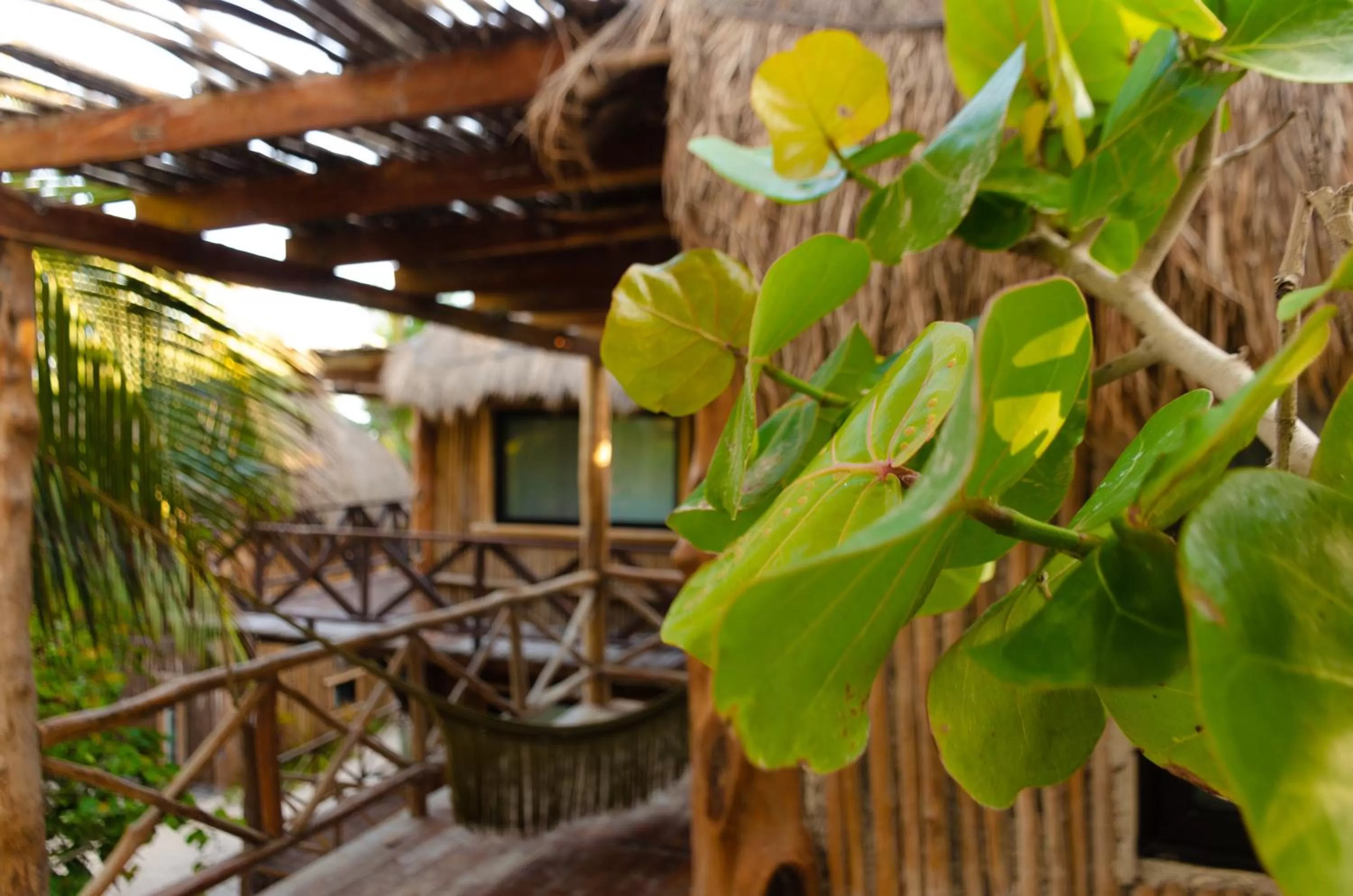 Garden in Hotelito Azul