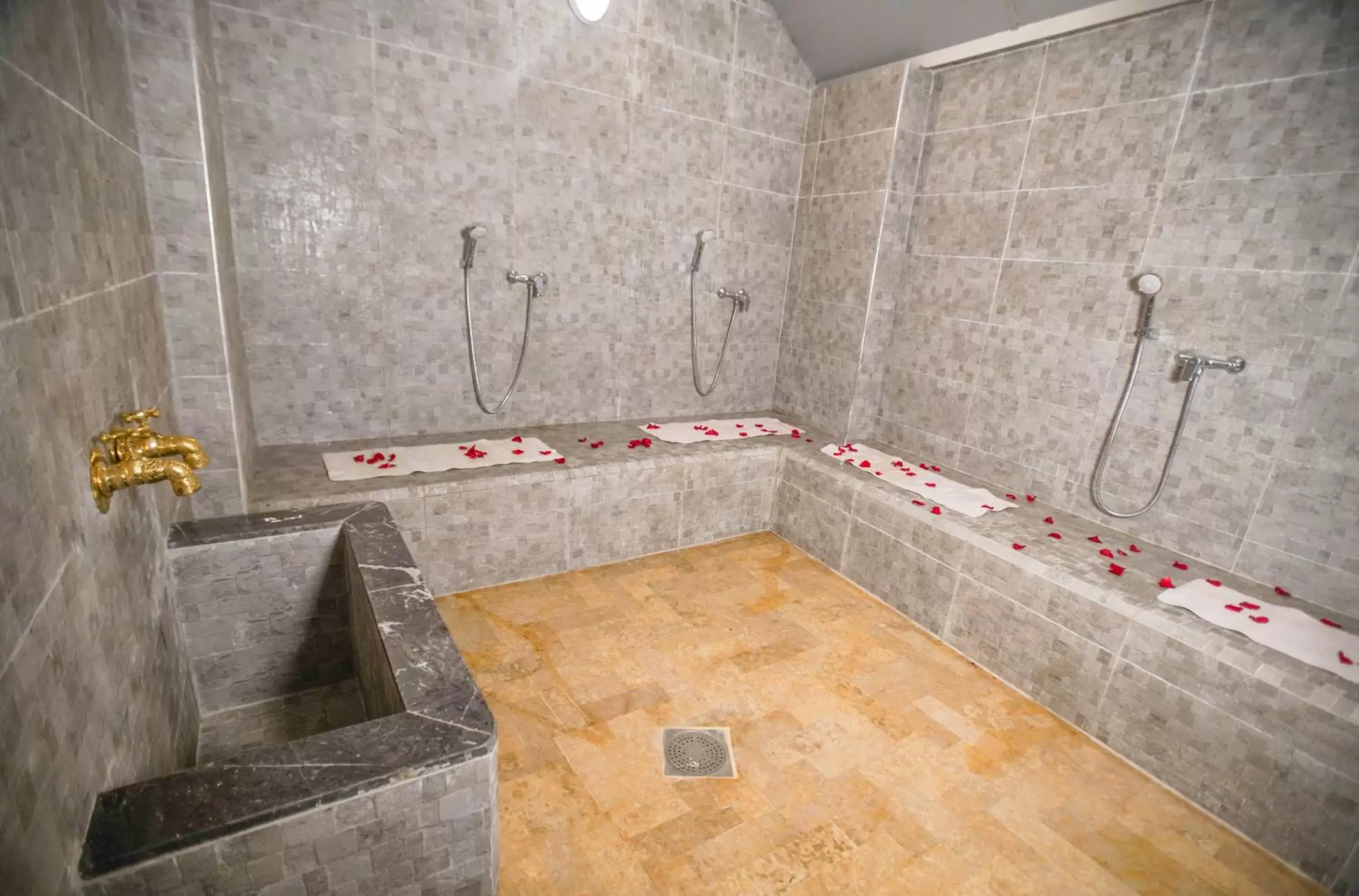 Steam room, Bathroom in Hotel Tildi Hotel & Spa