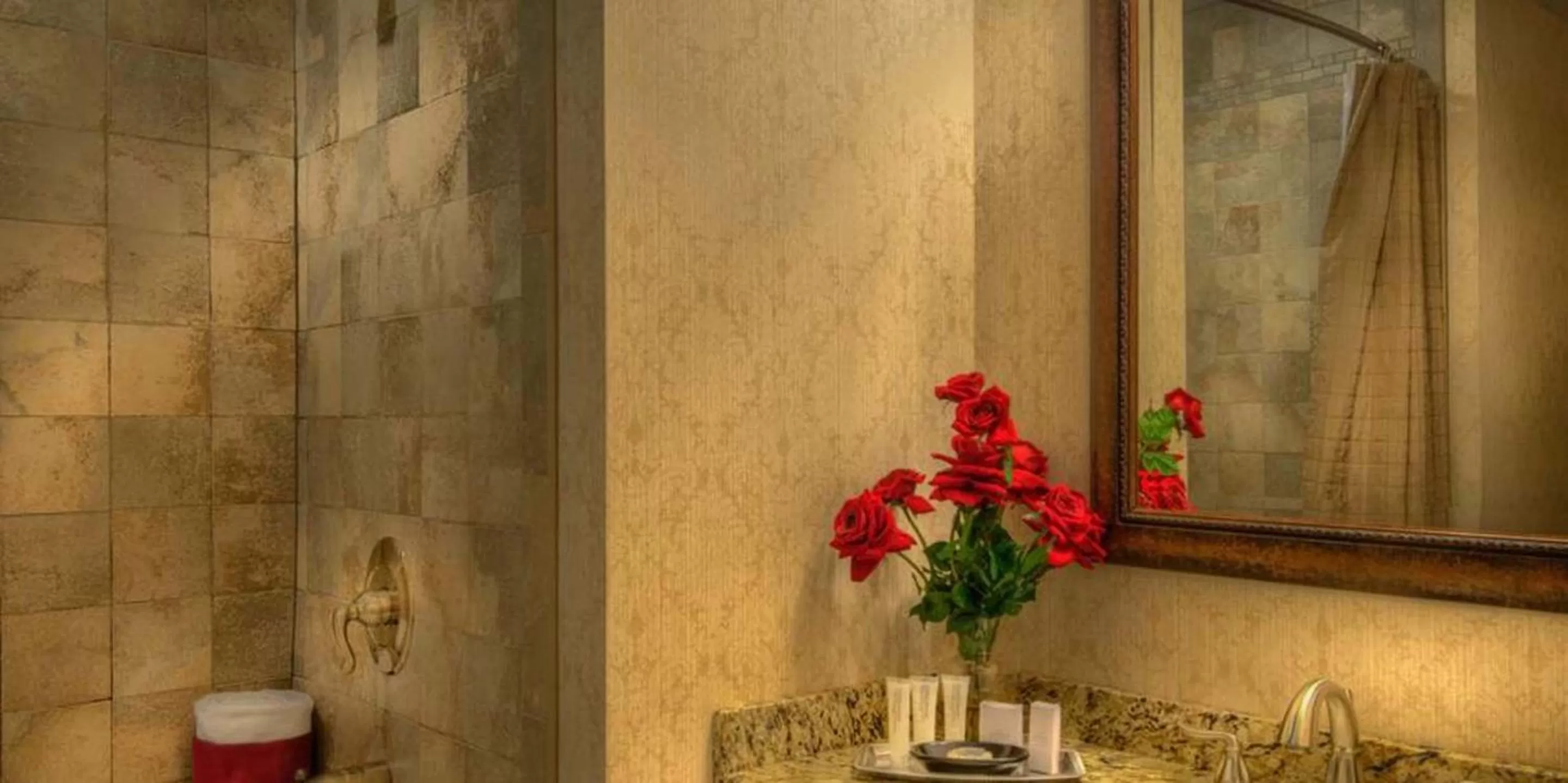 Bathroom in Red Coach Inn