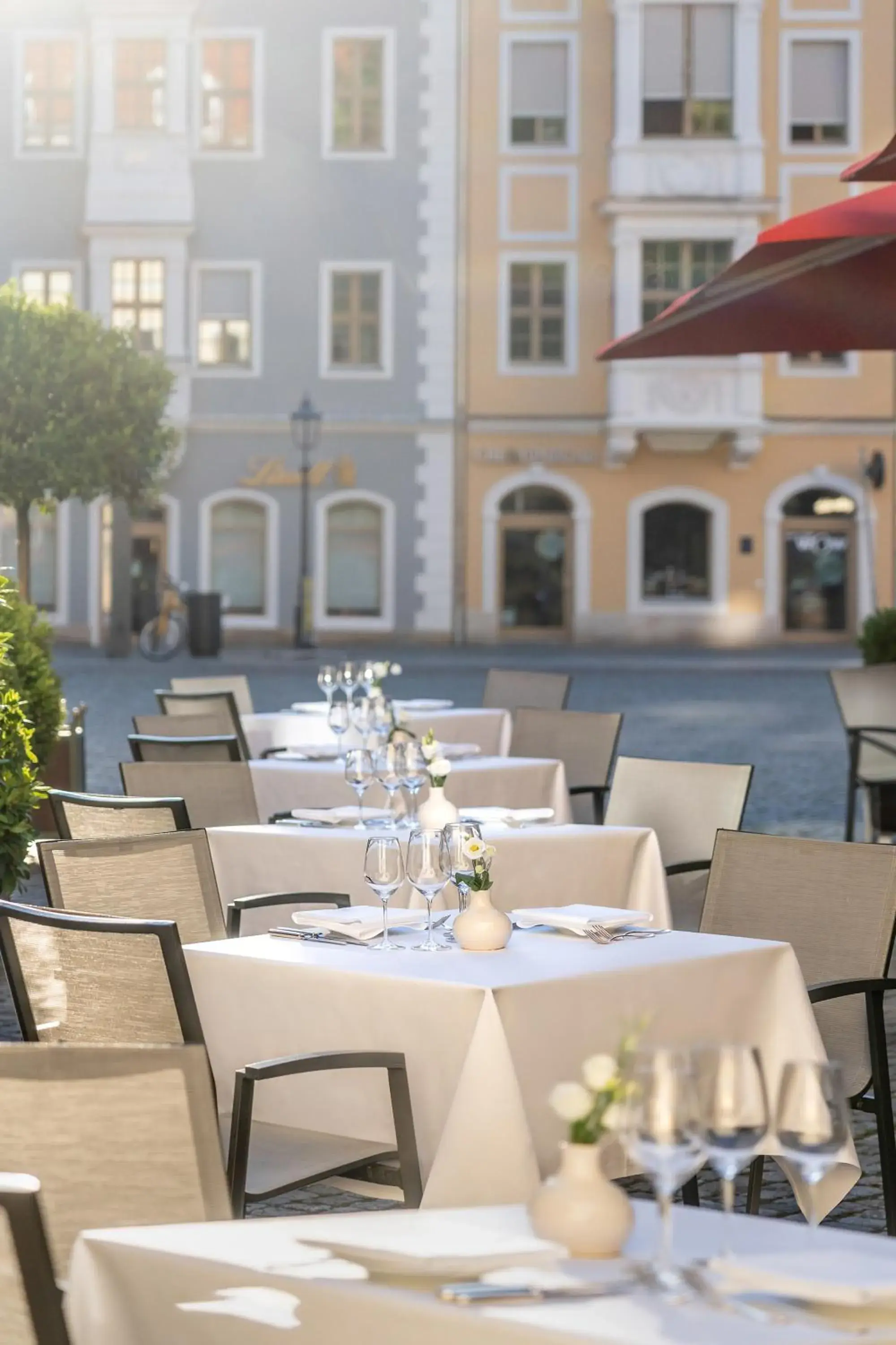 Restaurant/Places to Eat in Kempinski Hotel Taschenbergpalais Dresden