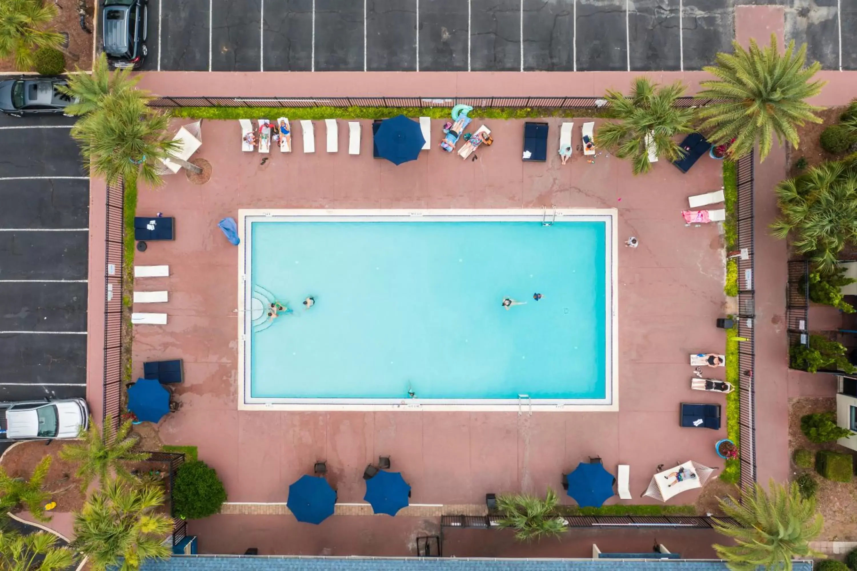 Swimming pool, Pool View in Ocean Coast Hotel at the Beach Amelia Island