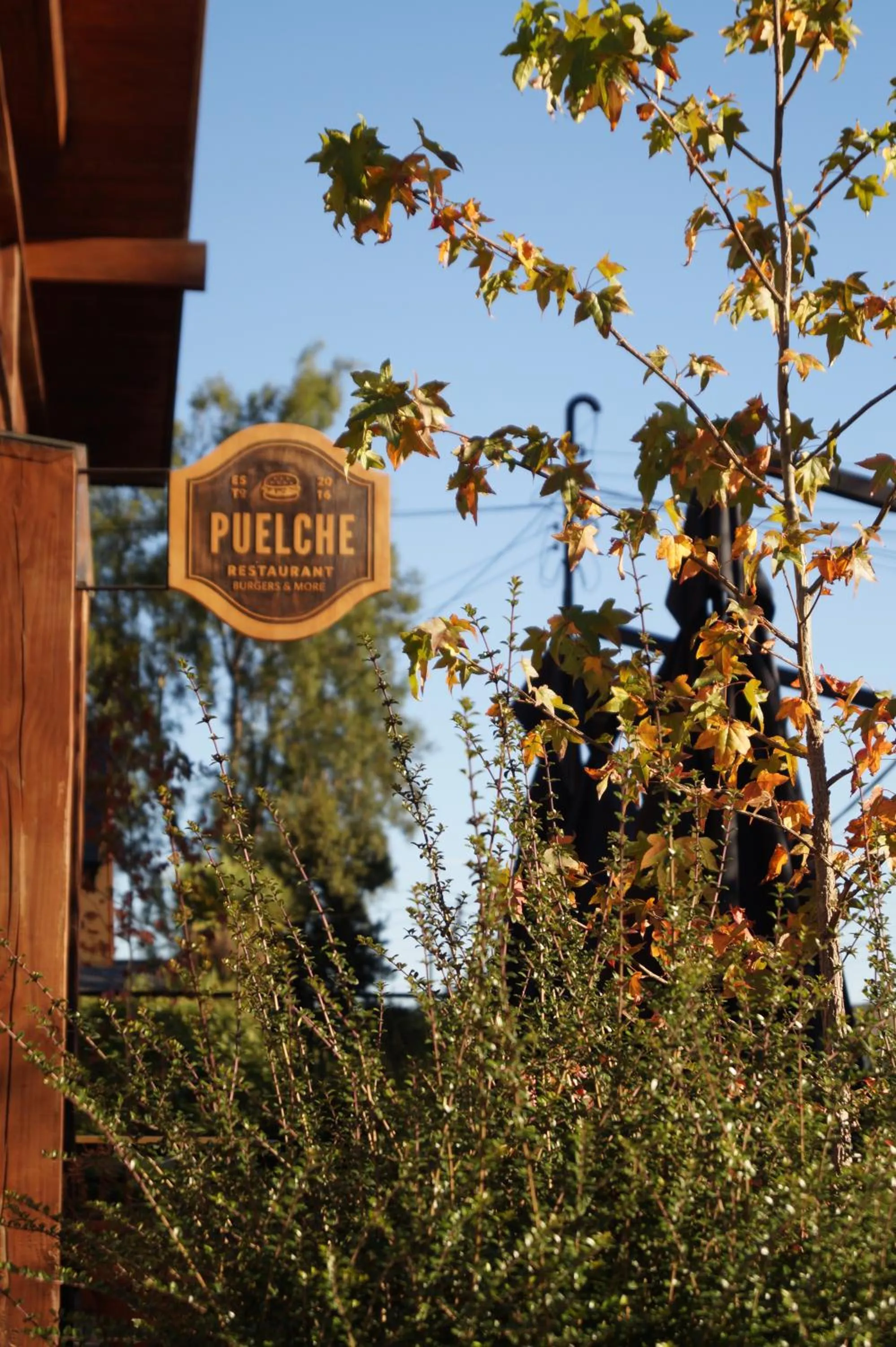 Restaurant/places to eat in Hotel Puelche