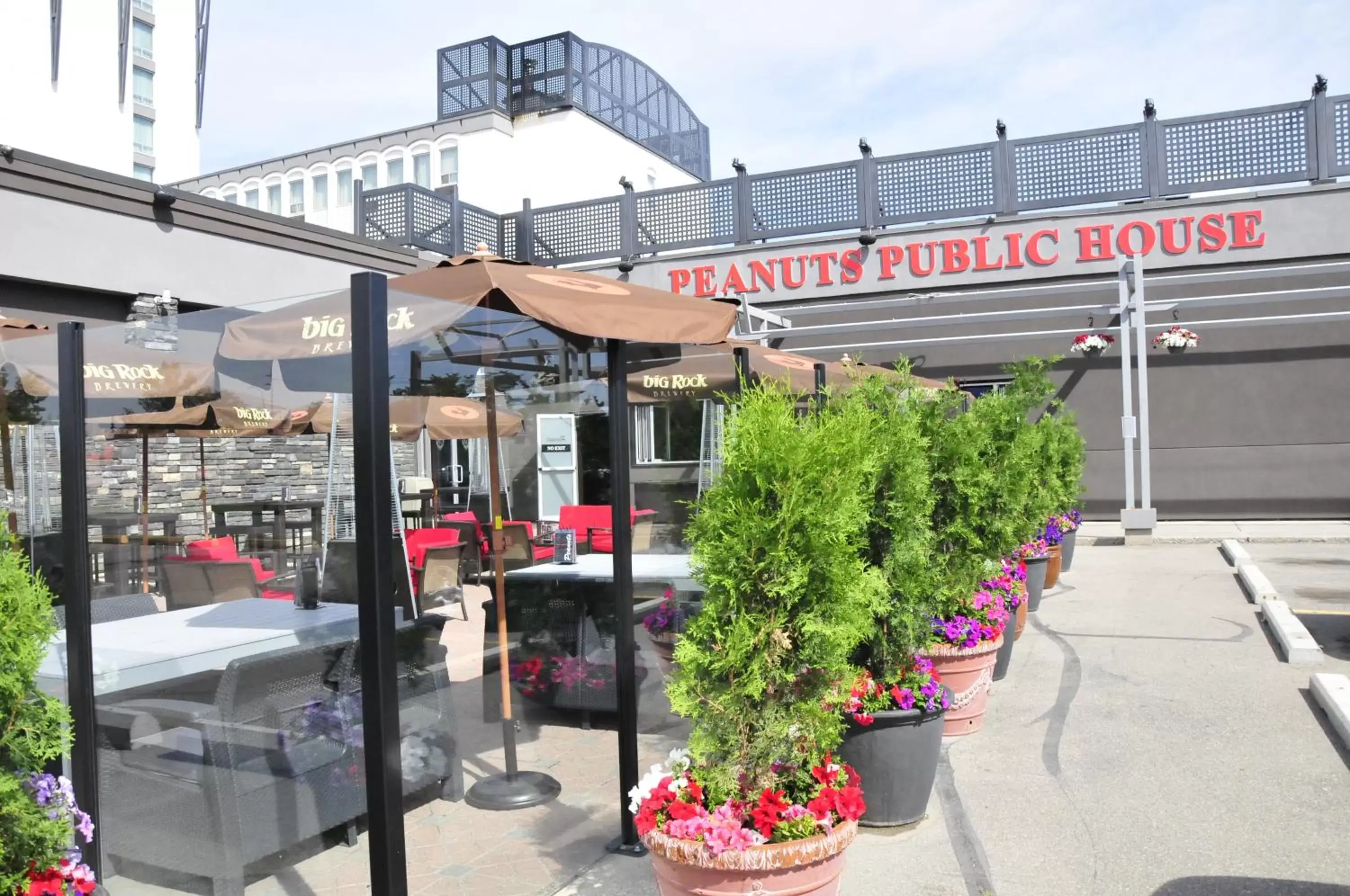 Patio in Carriage House Hotel and Conference Centre Patio in Carriage House Hotel and Conference Centre