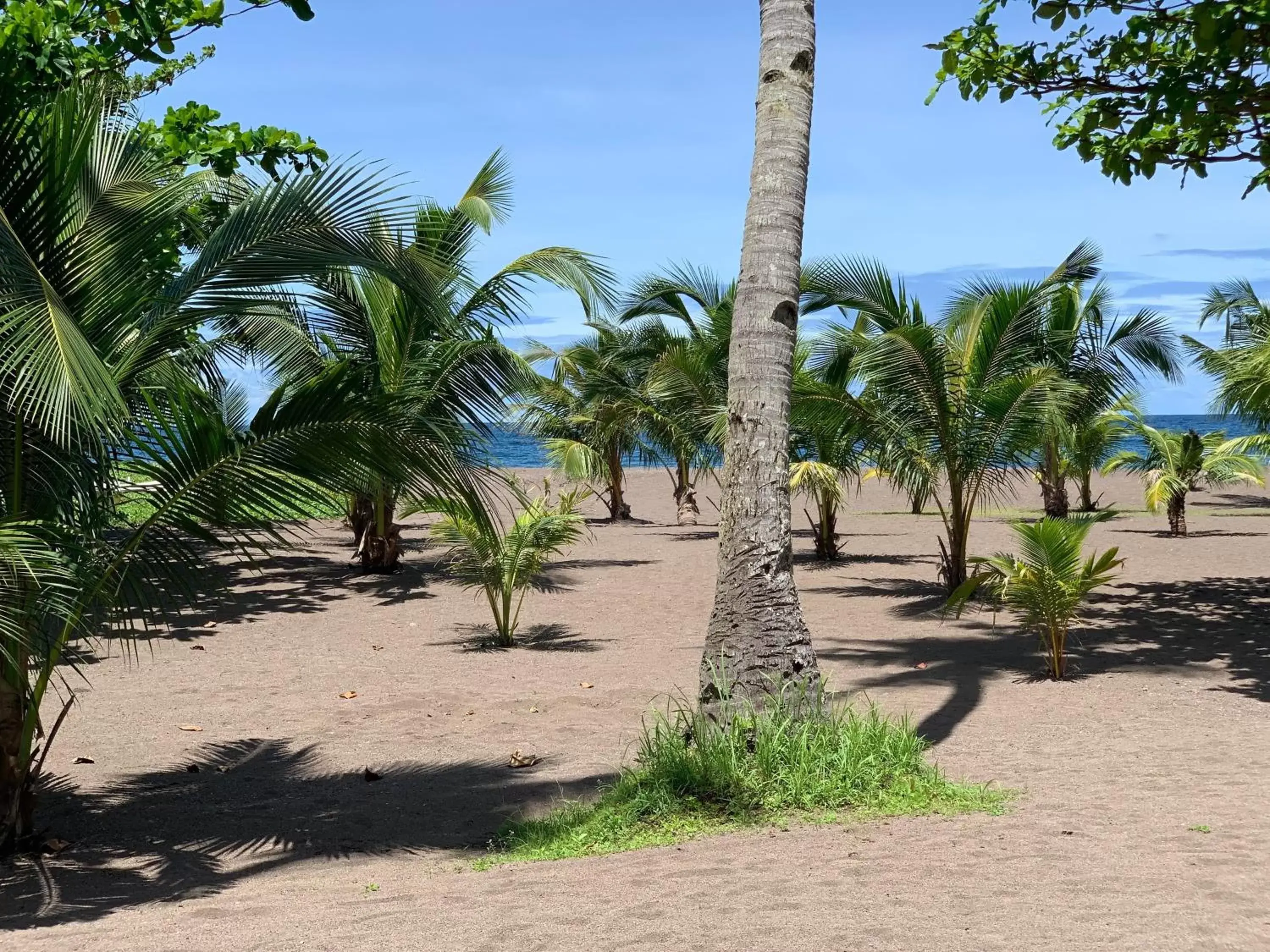 Beach in SomeWhere Else Boutique Resort