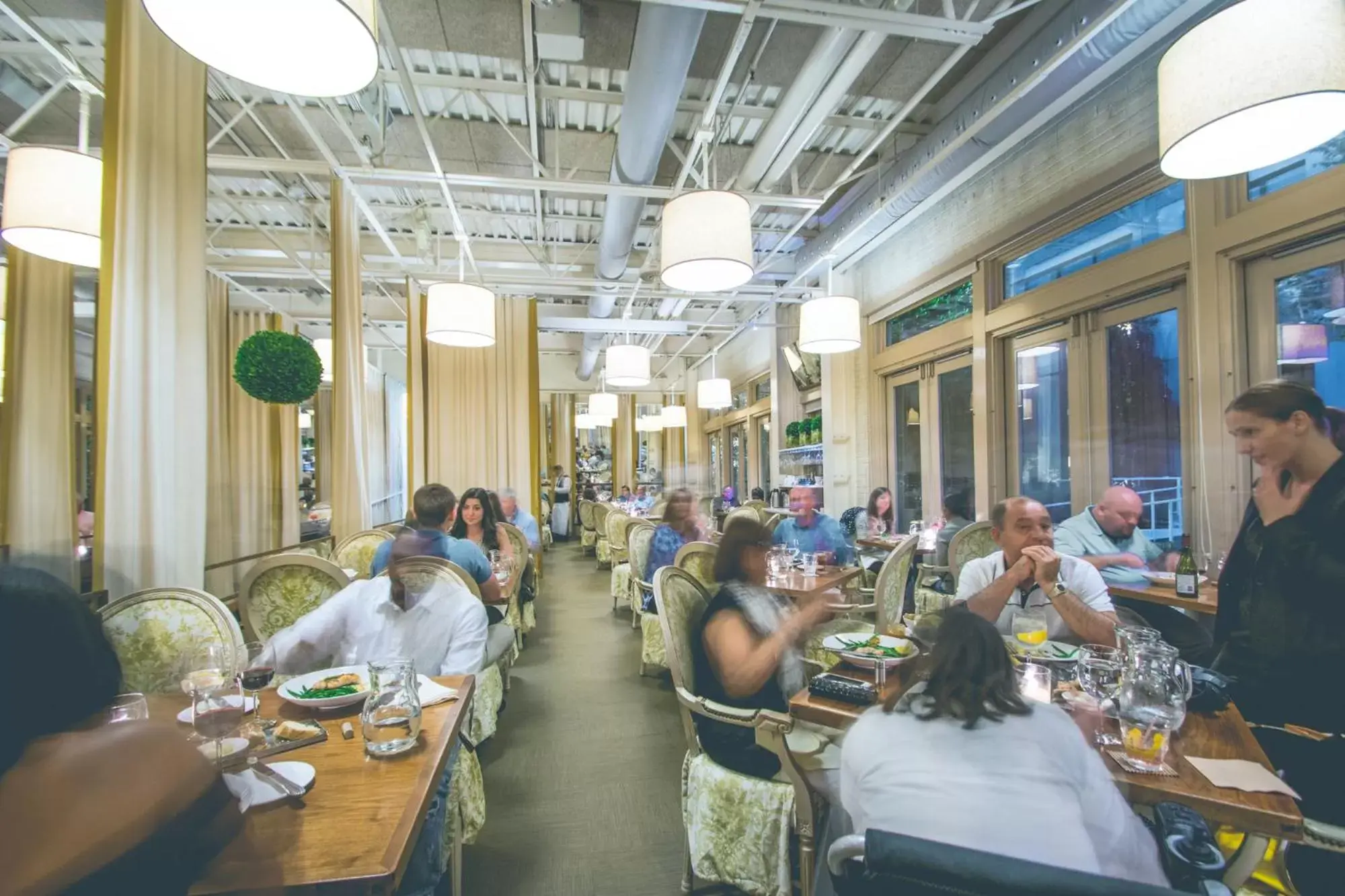 Restaurant/places to eat in Proximity Hotel Restaurant/places to eat in Proximity Hotel