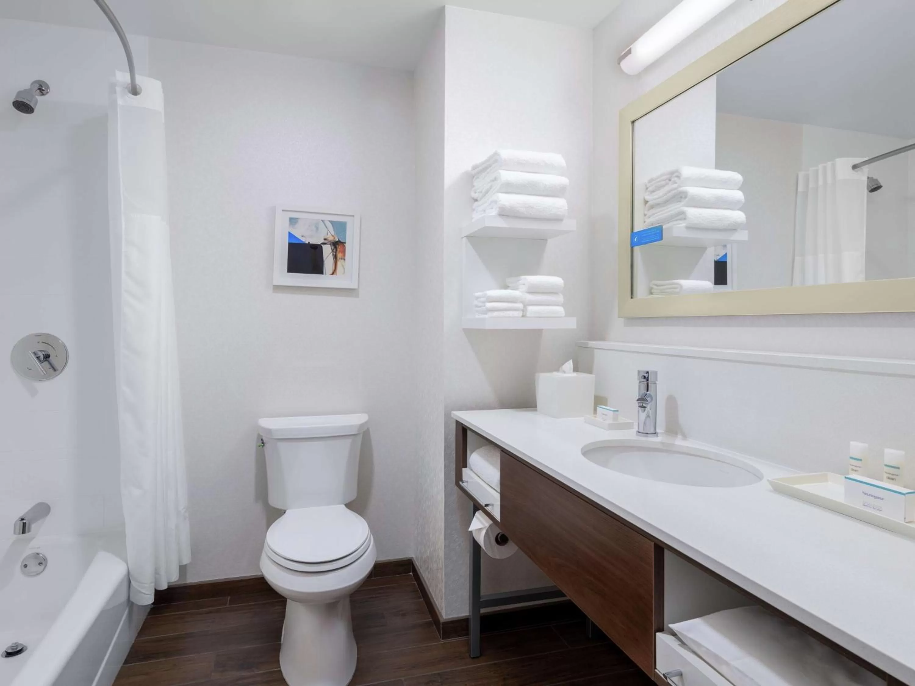 Bathroom in Hampton Inn Chicago McCormick Place