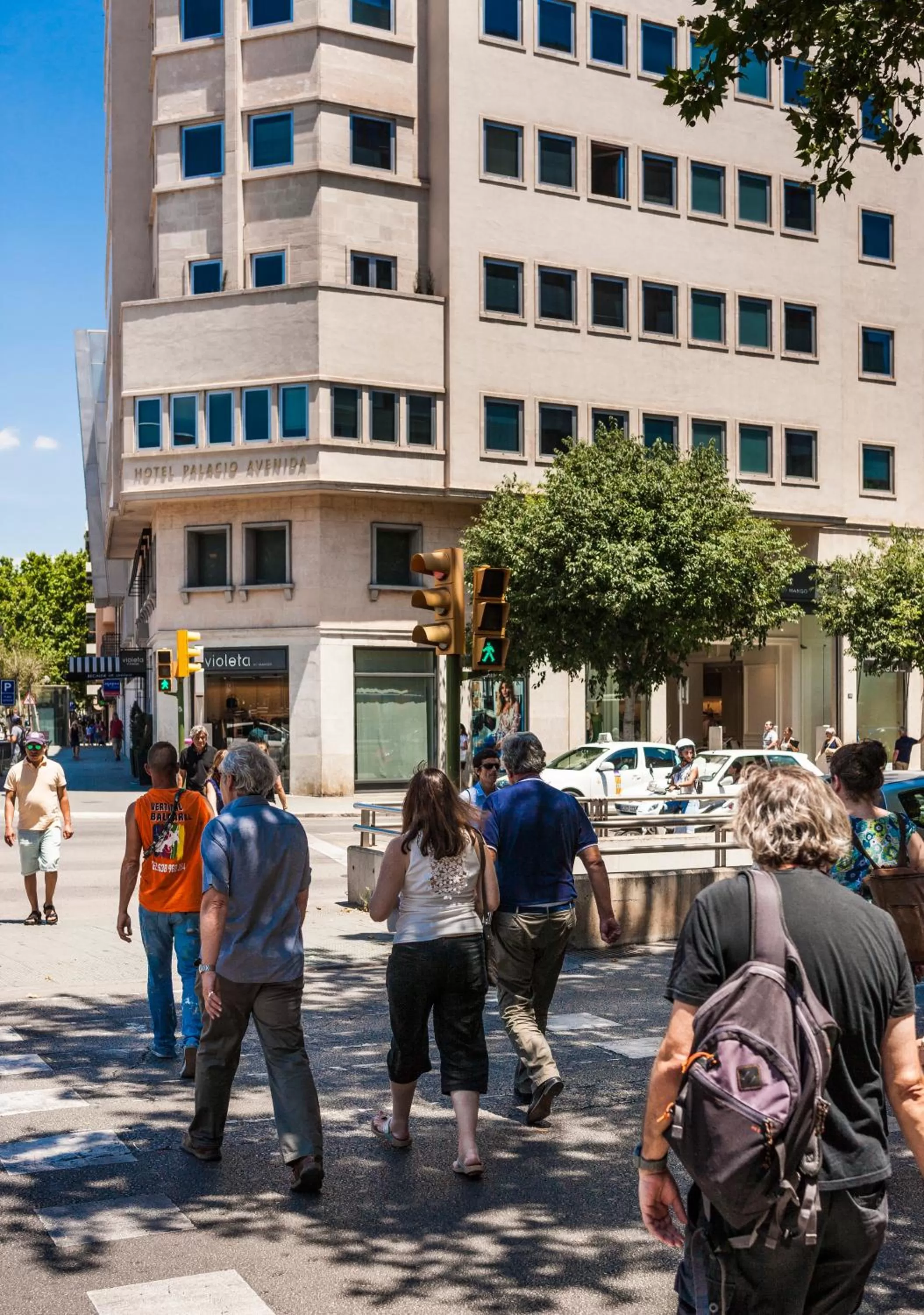 Facade/entrance in Palacio Avenida