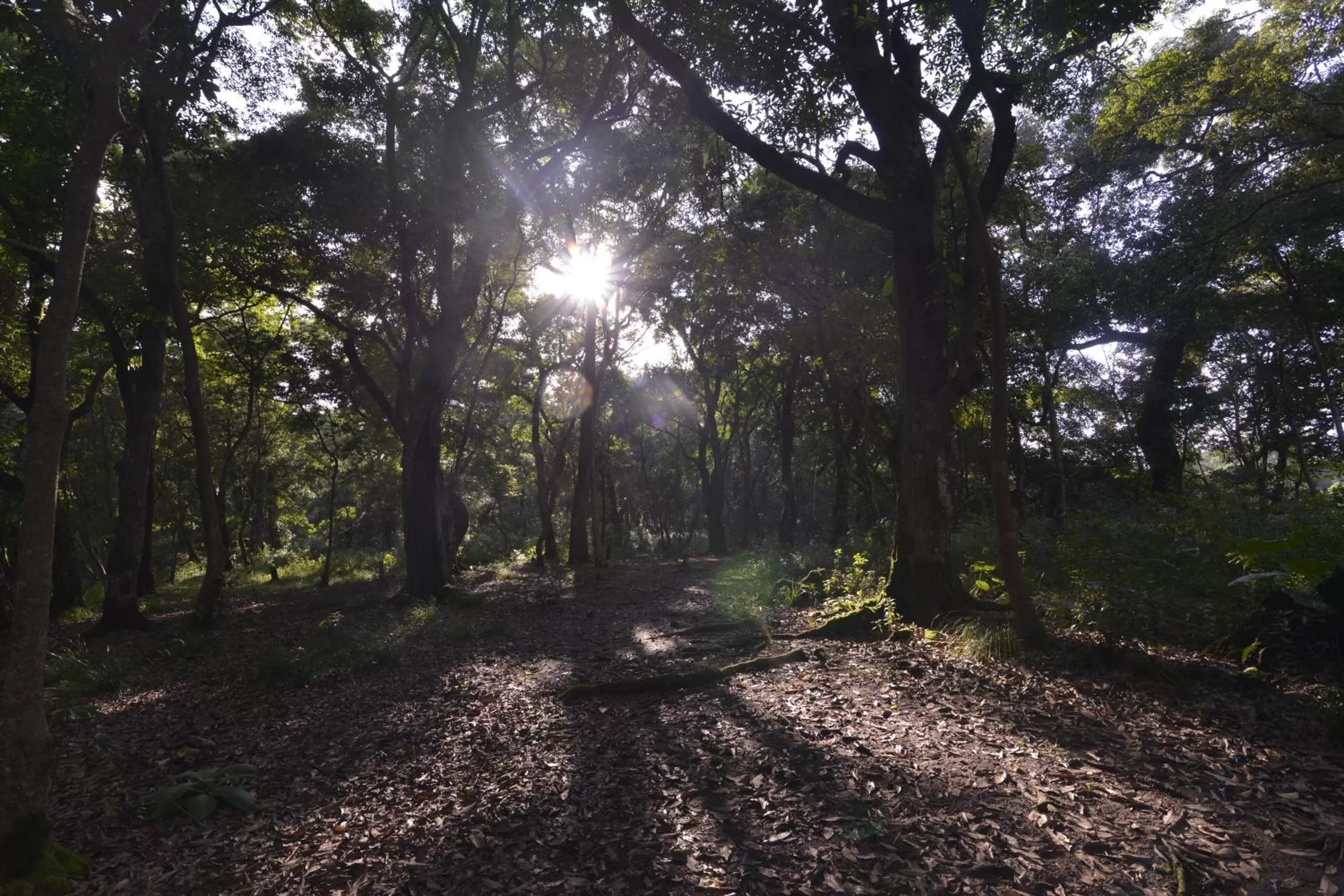 Garden in Gokarna Forest Resort Kathmandu