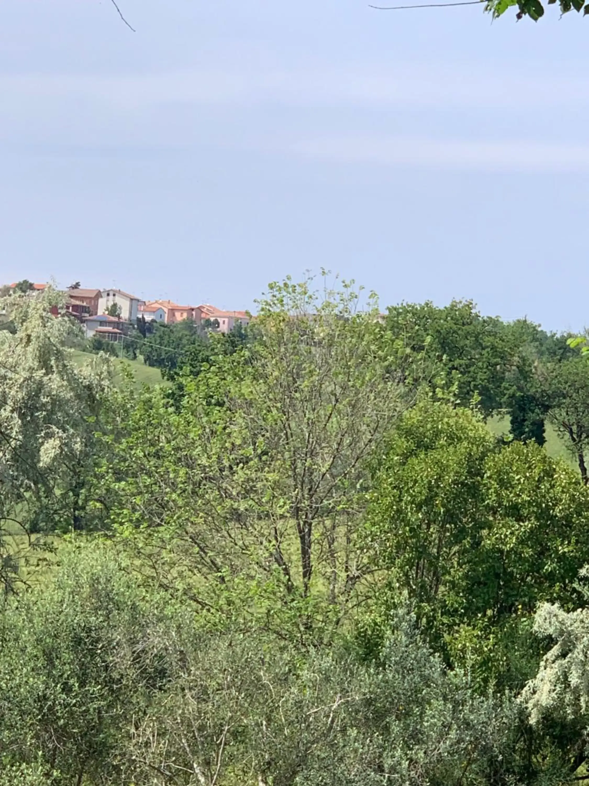 Natural landscape in Il Lauro