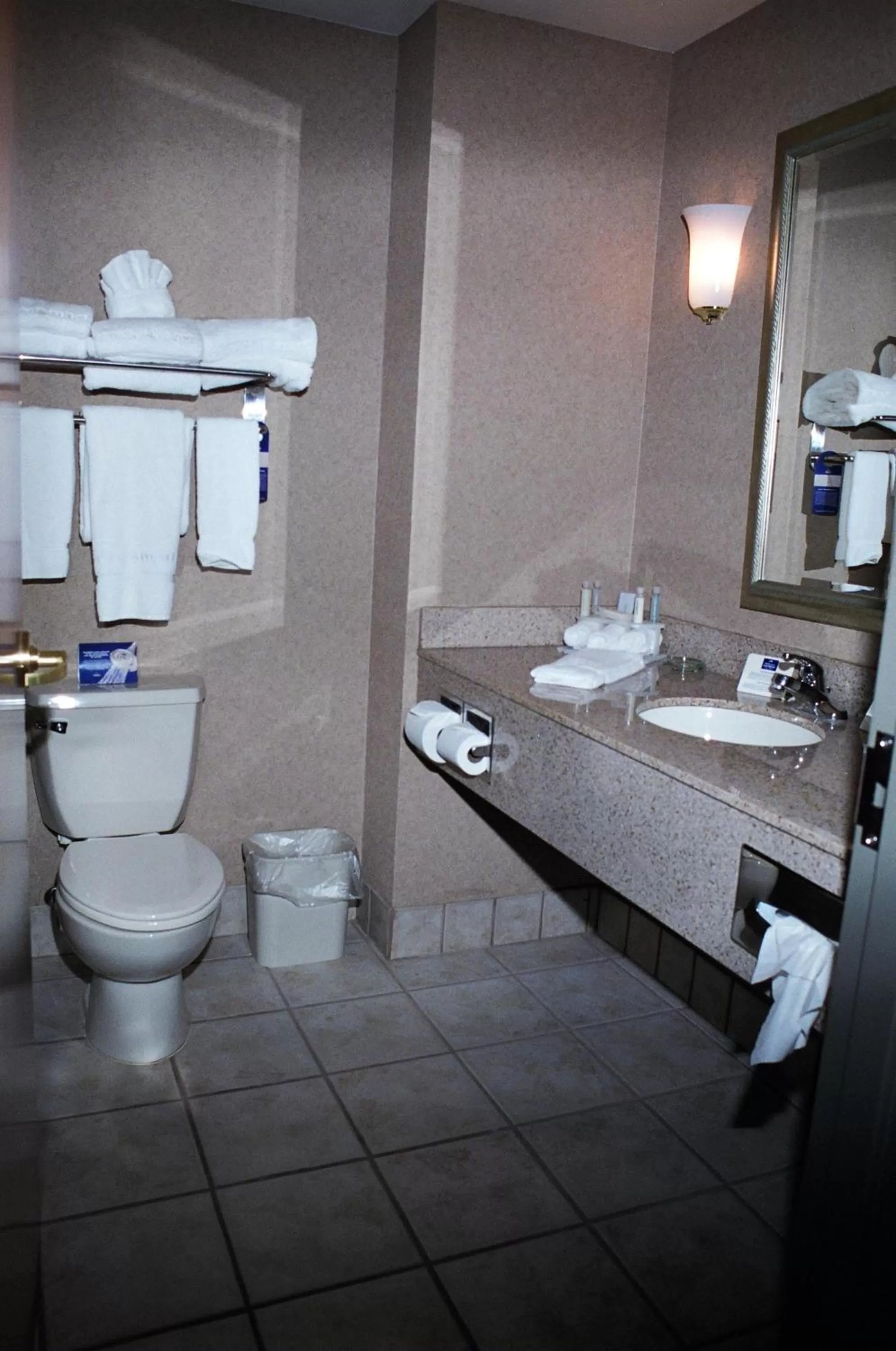 Holiday Inn Express Hotel & Suites Bryan-Montpelier by IHG