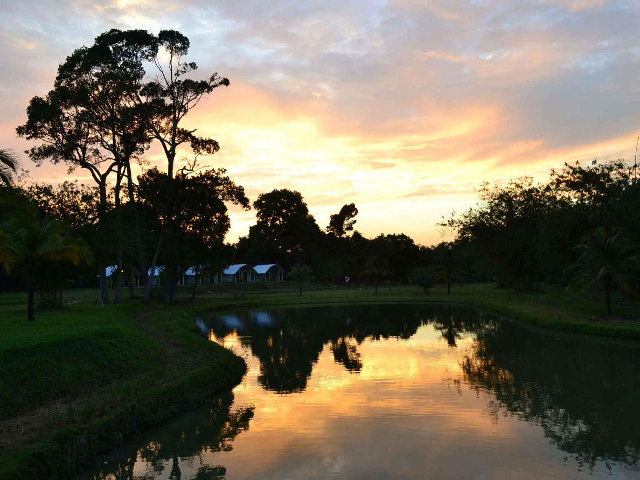 Natural landscape in Phuket Campground
