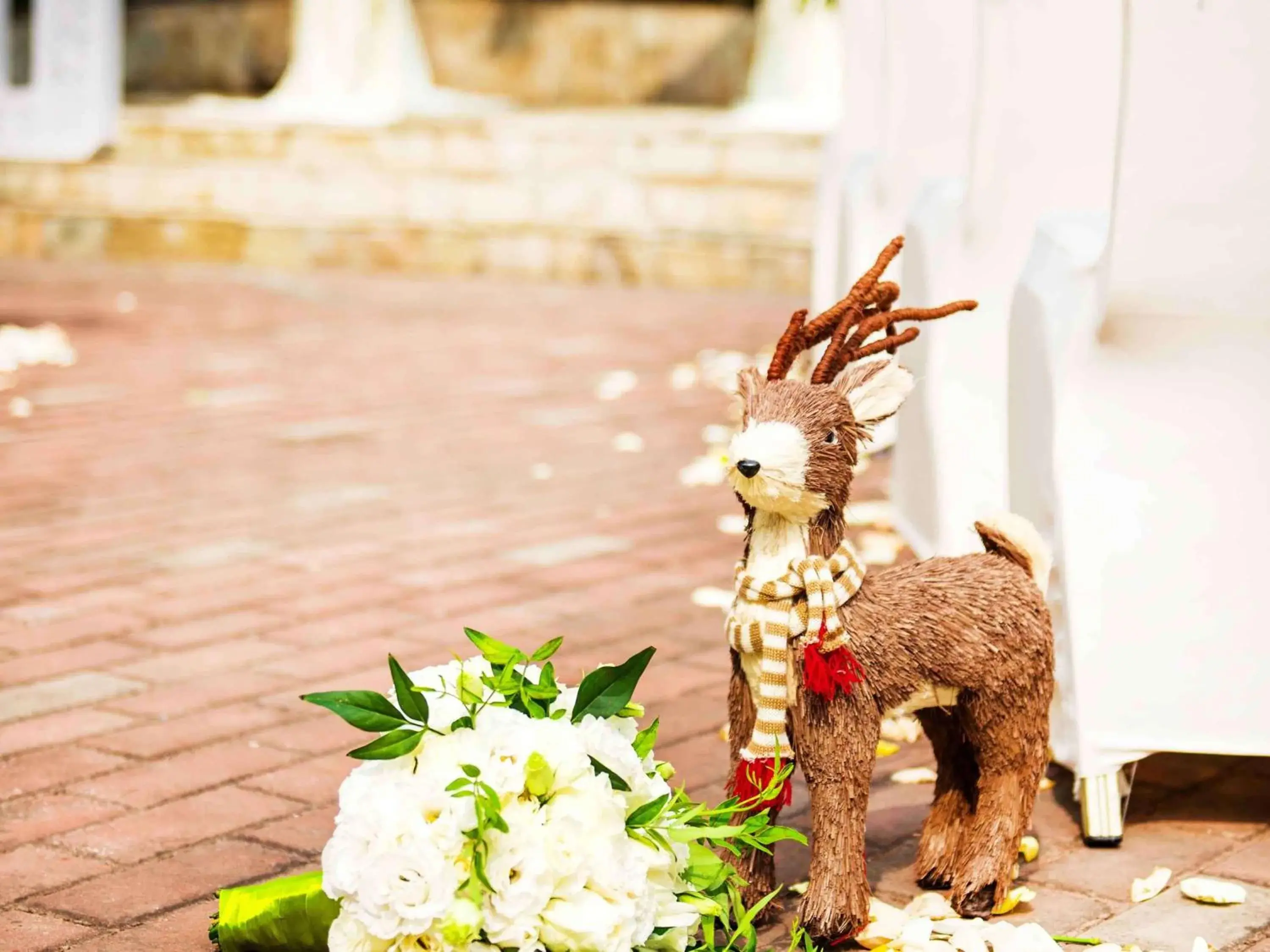 wedding, Other Animals in Mercure Beijing Downtown Hotel