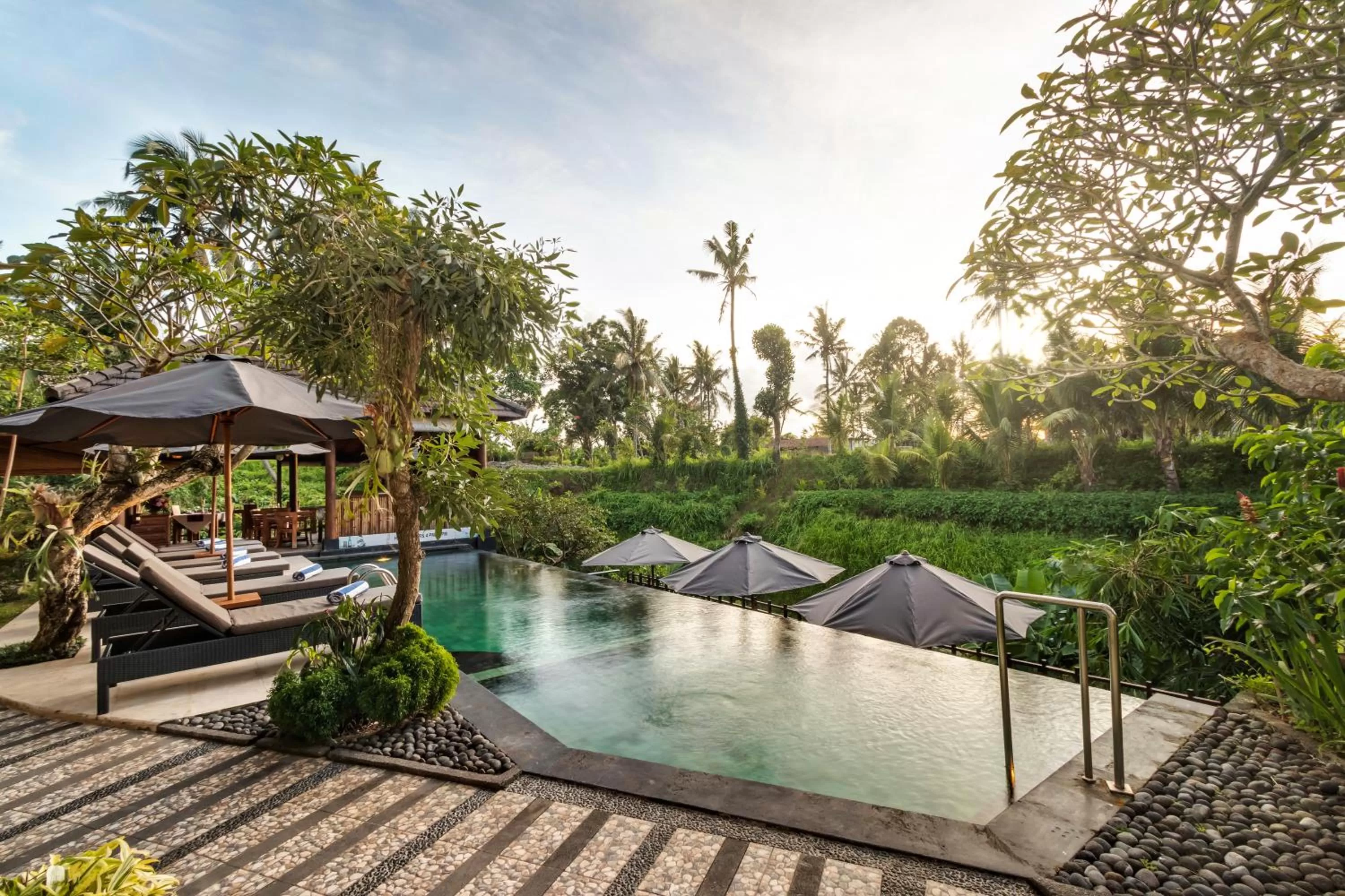 Swimming pool in Mayura Ubud Retreat
