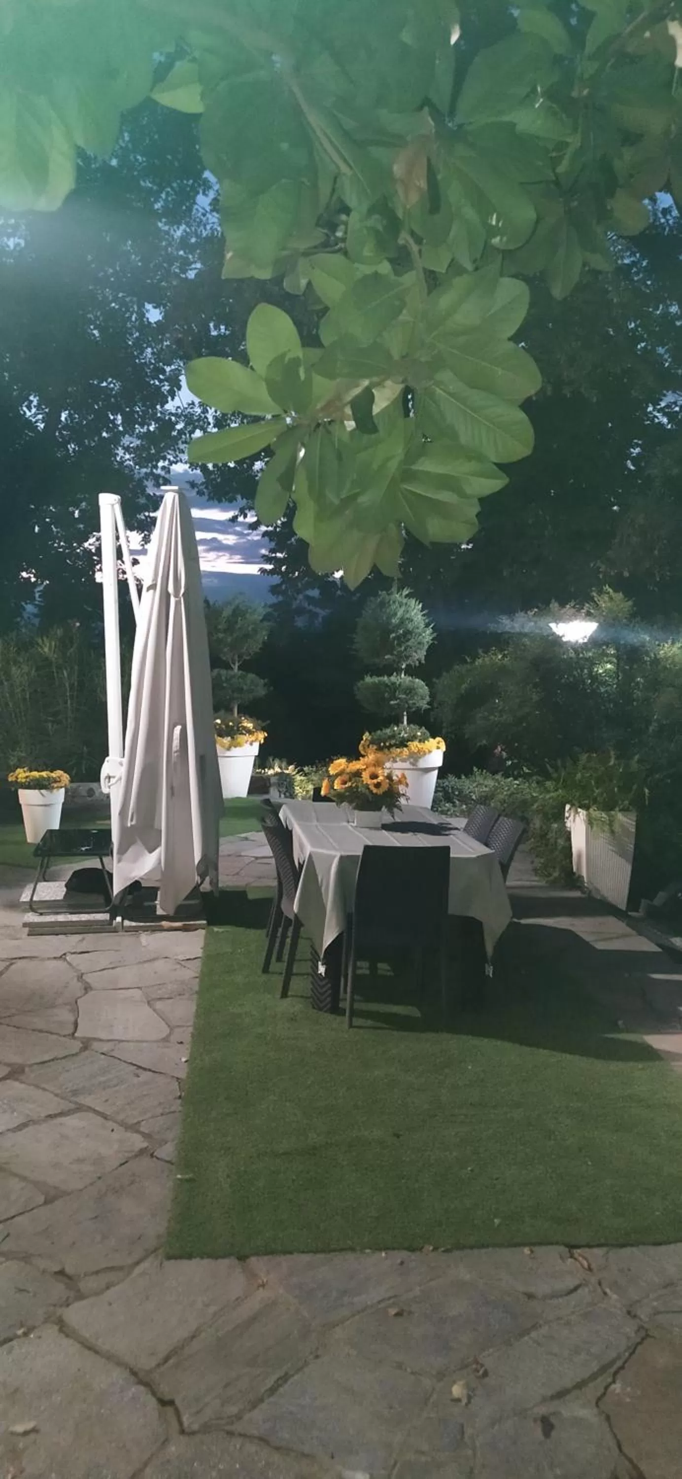 Garden view in "La Selvetta" bed and breakfast