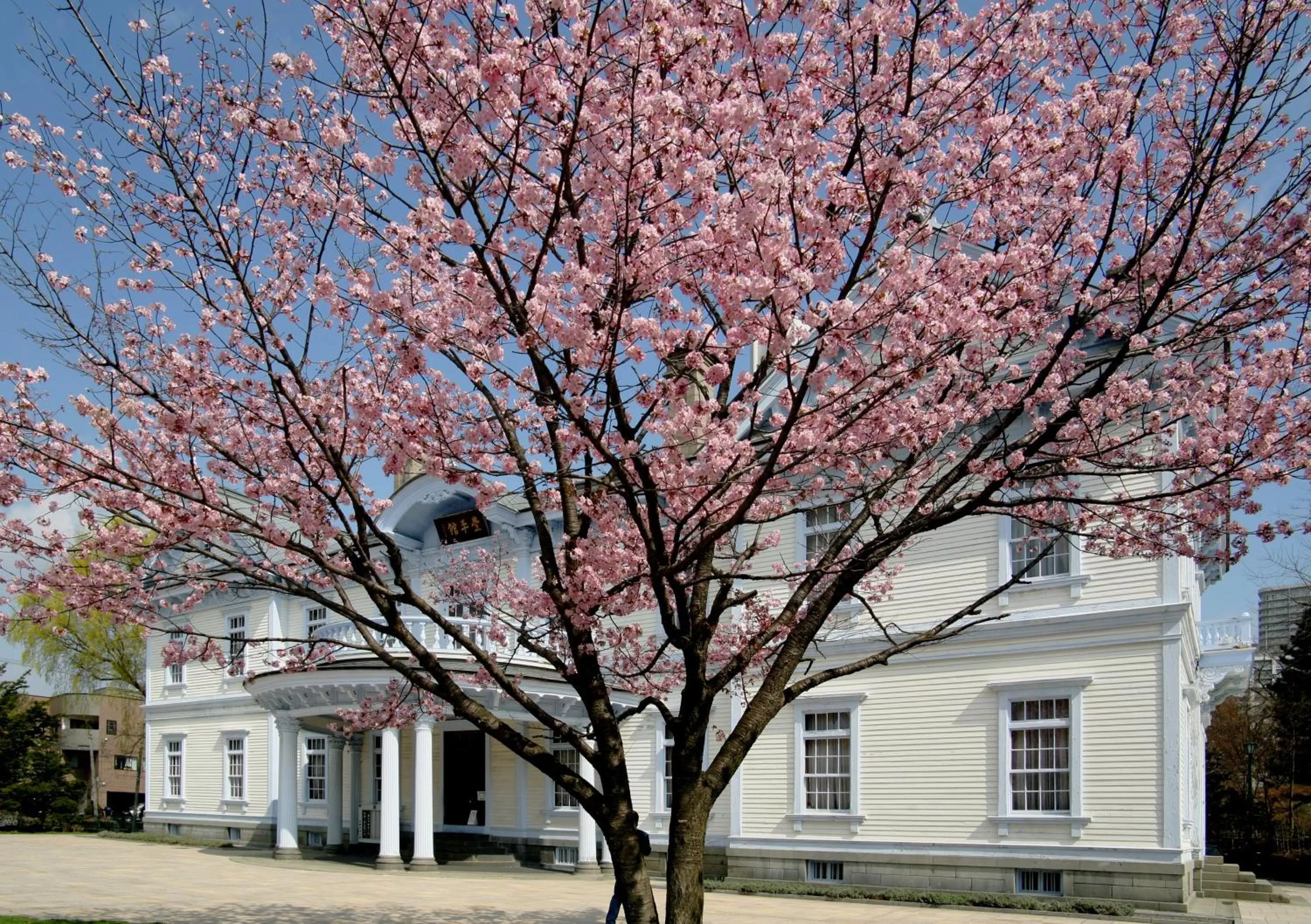 Nearby landmark in HOTEL MYSTAYS Sapporo Nakajima Park