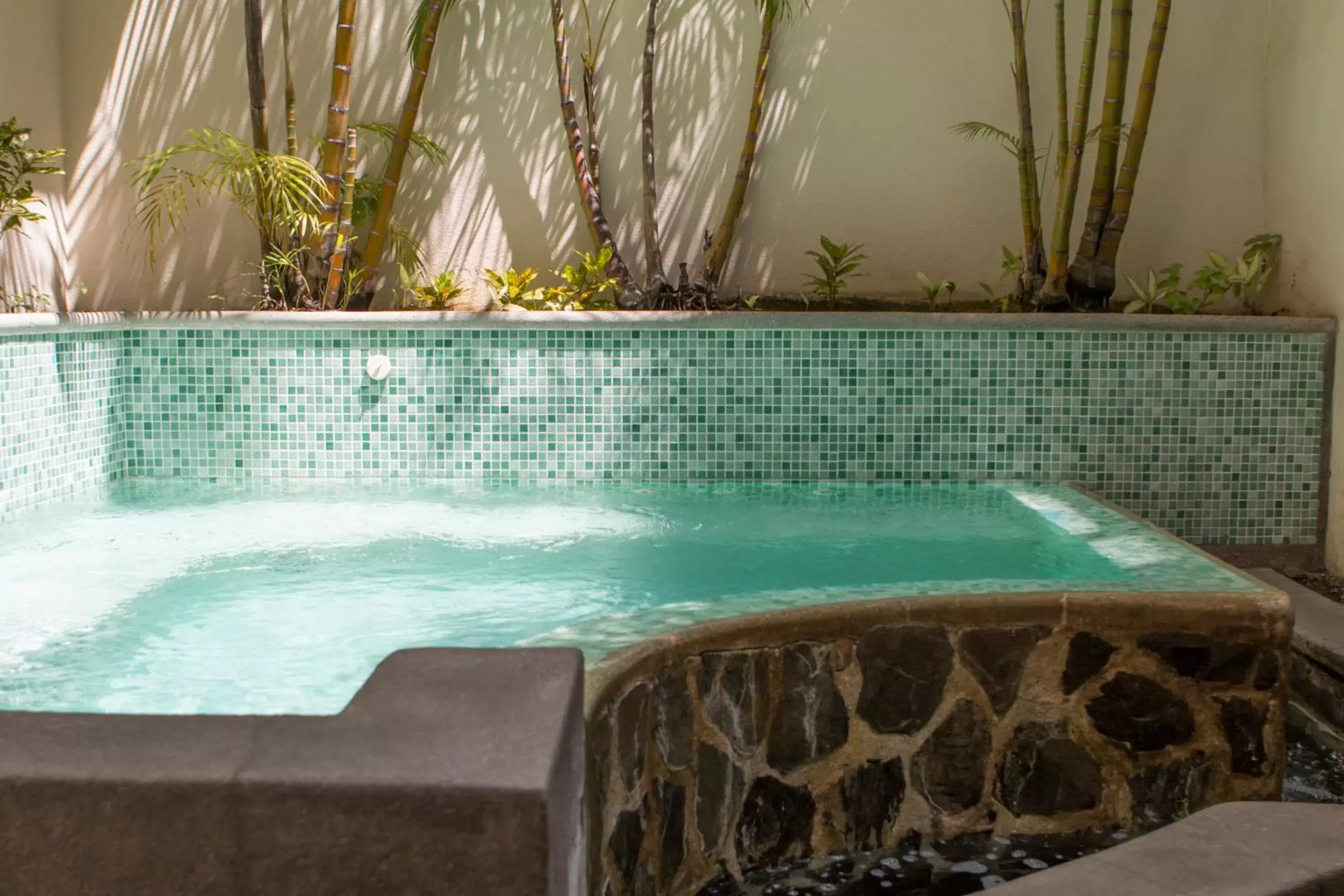 Hot Spring Bath, Swimming Pool in Rincon del Valle Hotel & Suites