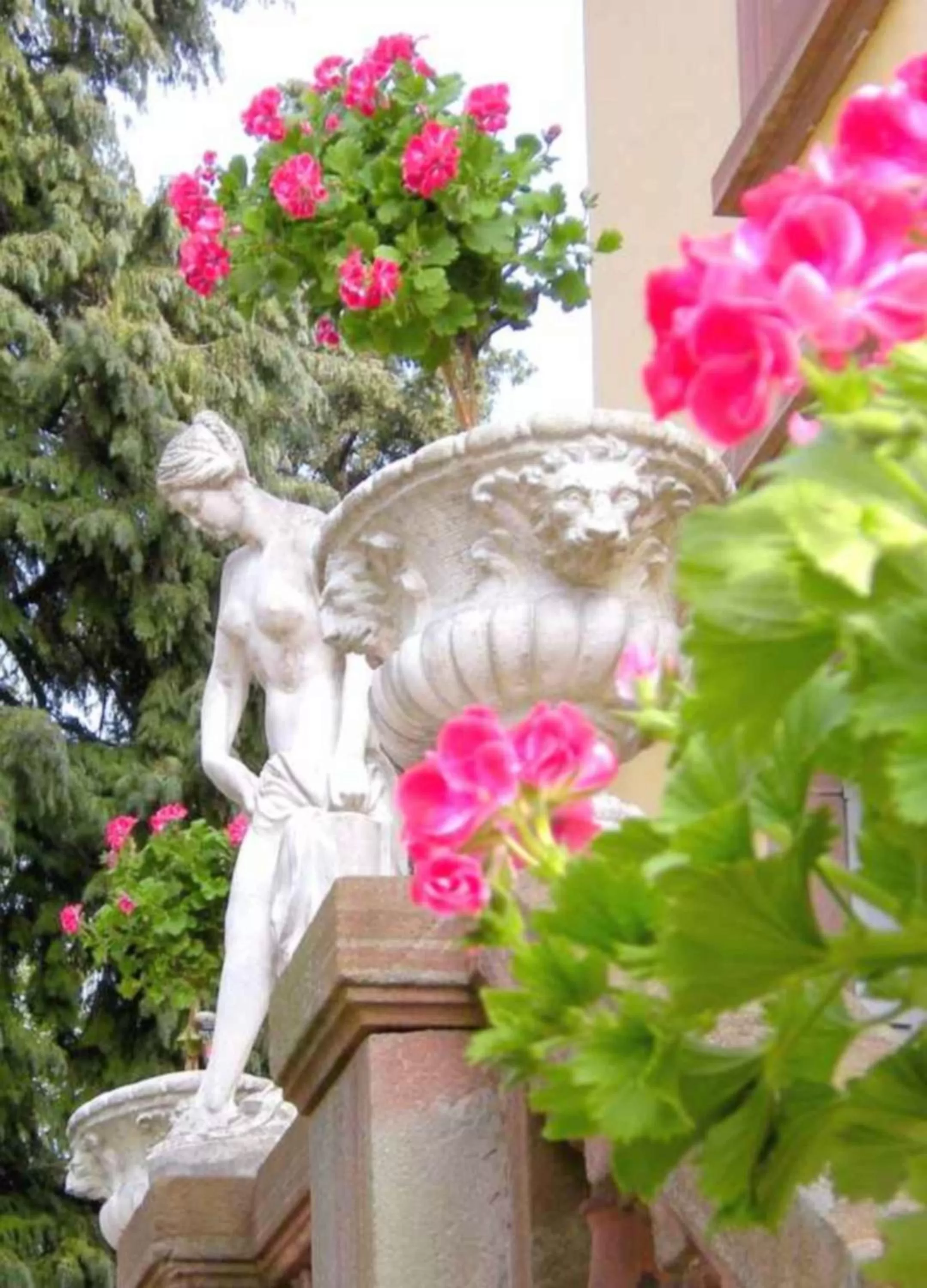 Garden in Hôtel Le Manoir
